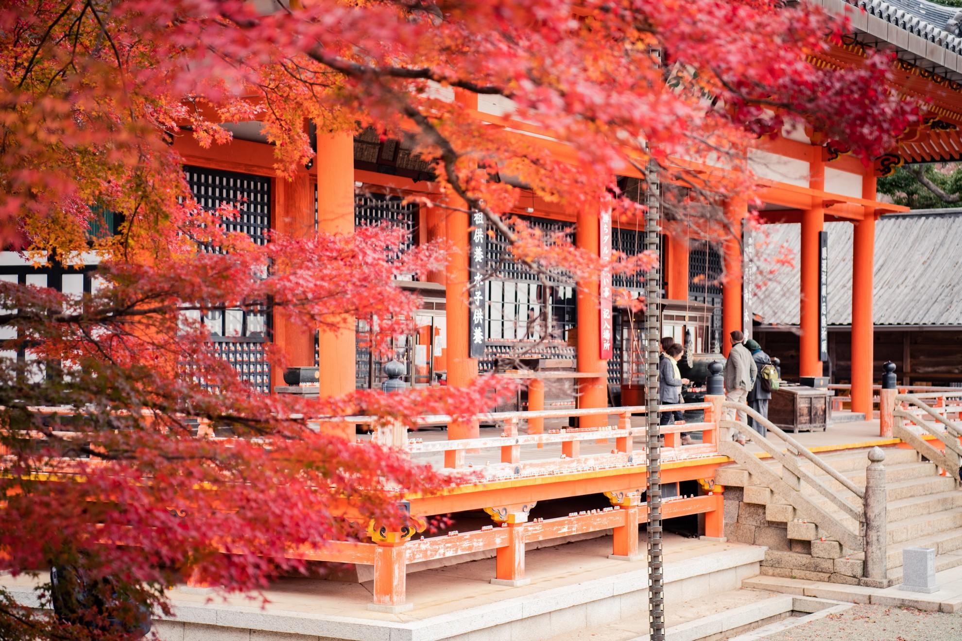 Comment les temples et la nature sont ils mis en valeurs à travers la culture et les différentes religions existantes au coeur du Japon ?