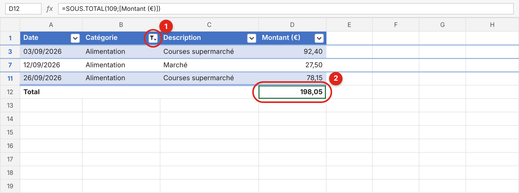 Capture d'écran pour montrer comment filtrer sur certaines dépenses.