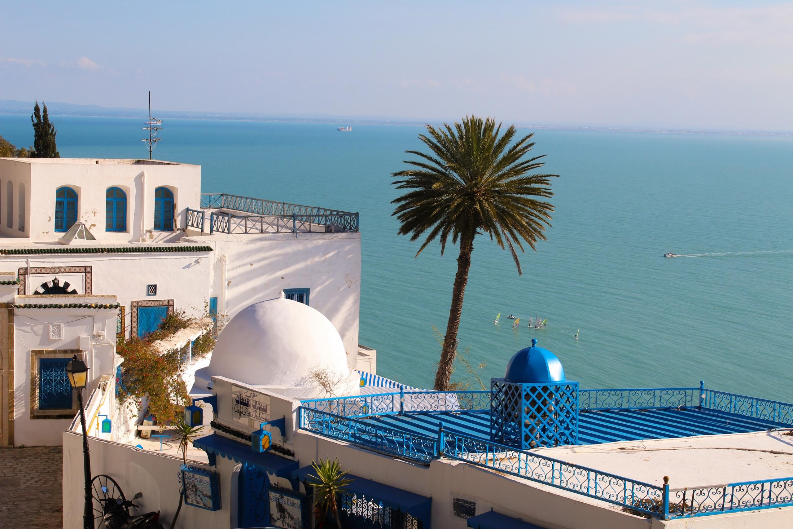 Pourquoi visiter le site de Carthage en Tunisie ?