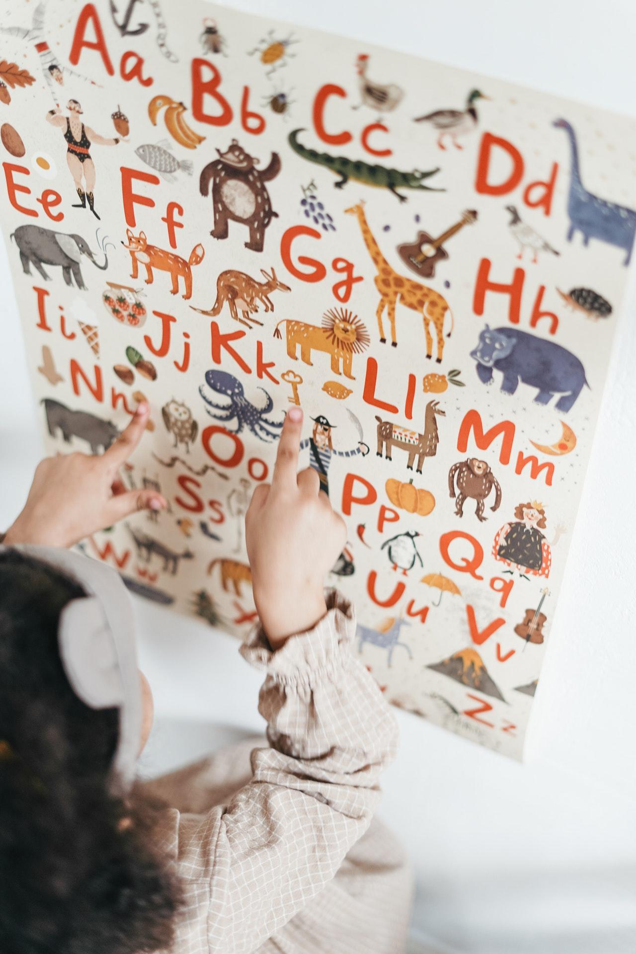Petite fille lisant l'alphabet sur une affiche avec des animaux.
