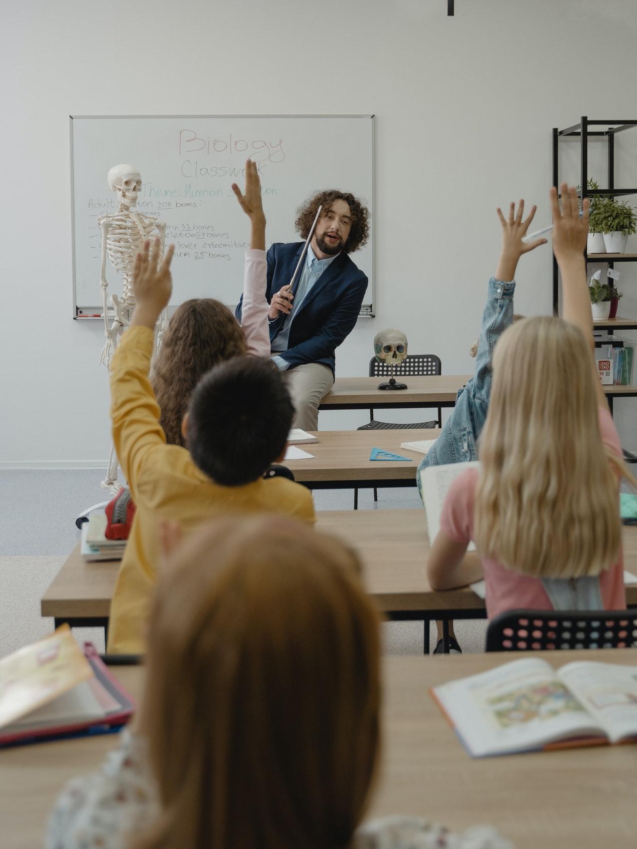Un professeur donne un cours de biologie à une classe d'élèves d'école élémentaire.