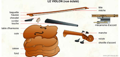 violon - vue eclatee