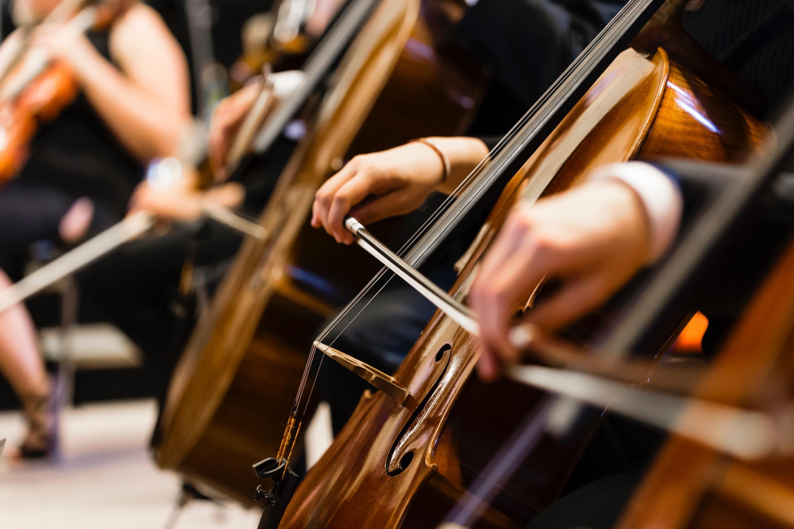 Un concert de violoncelles