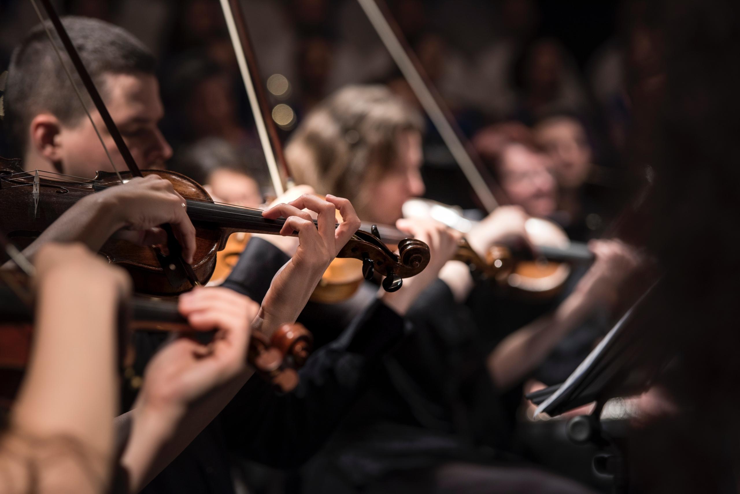 Un concert de violoncelle