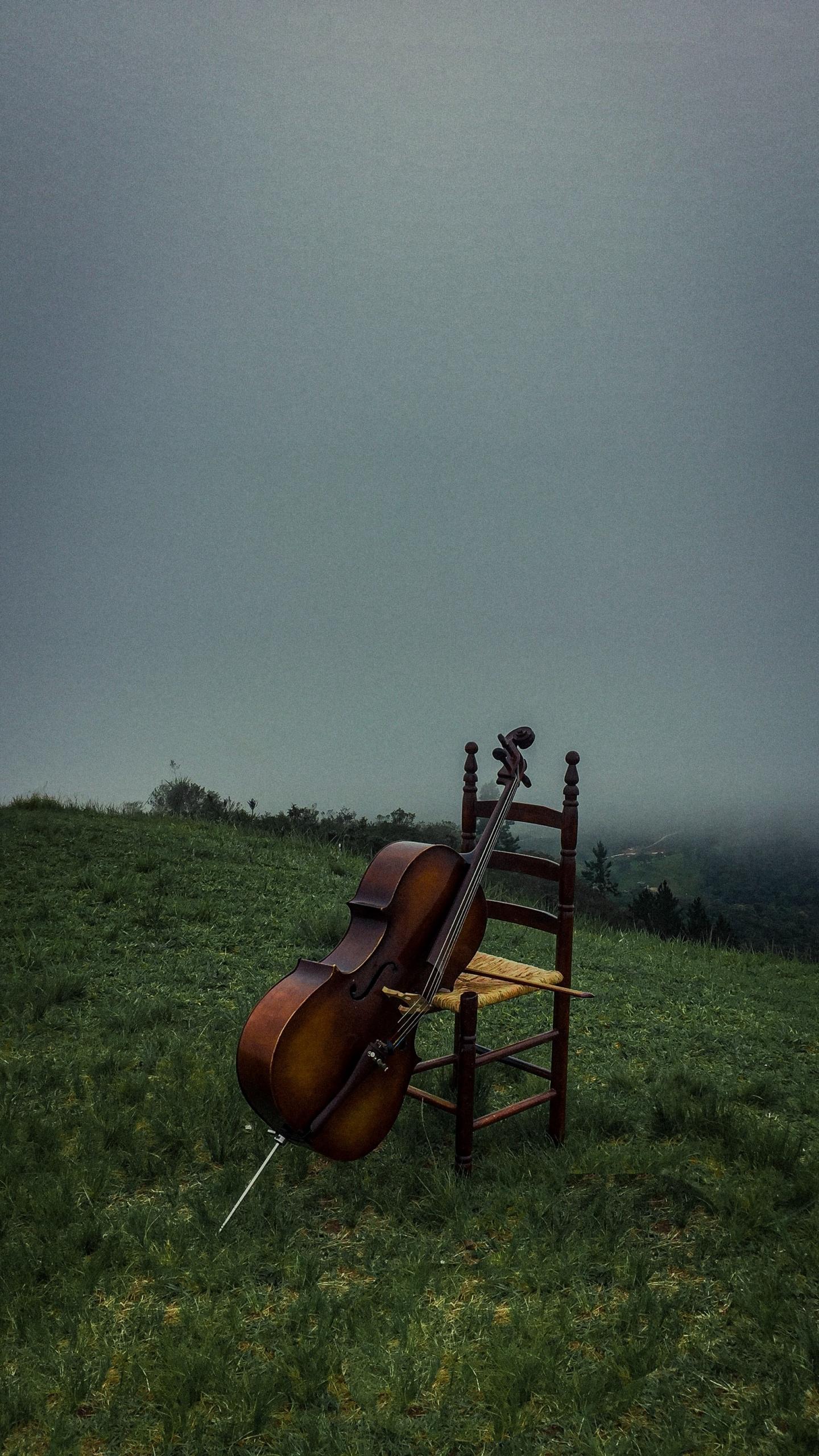 Un violoncelle posé contre une chaise dans la nature