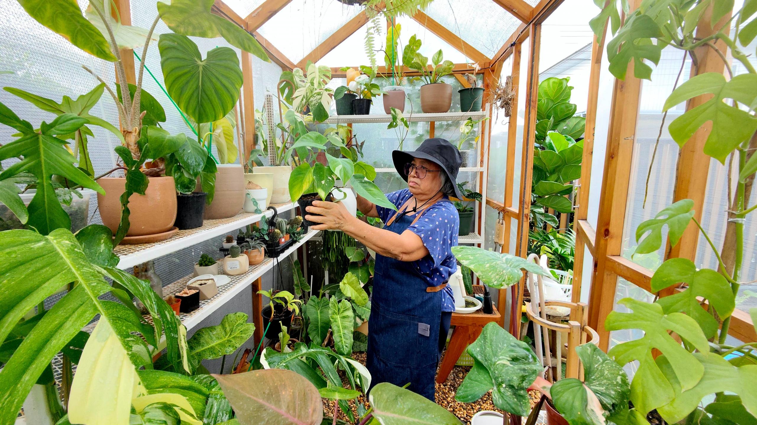 Une femme s'occupe de ses plantes