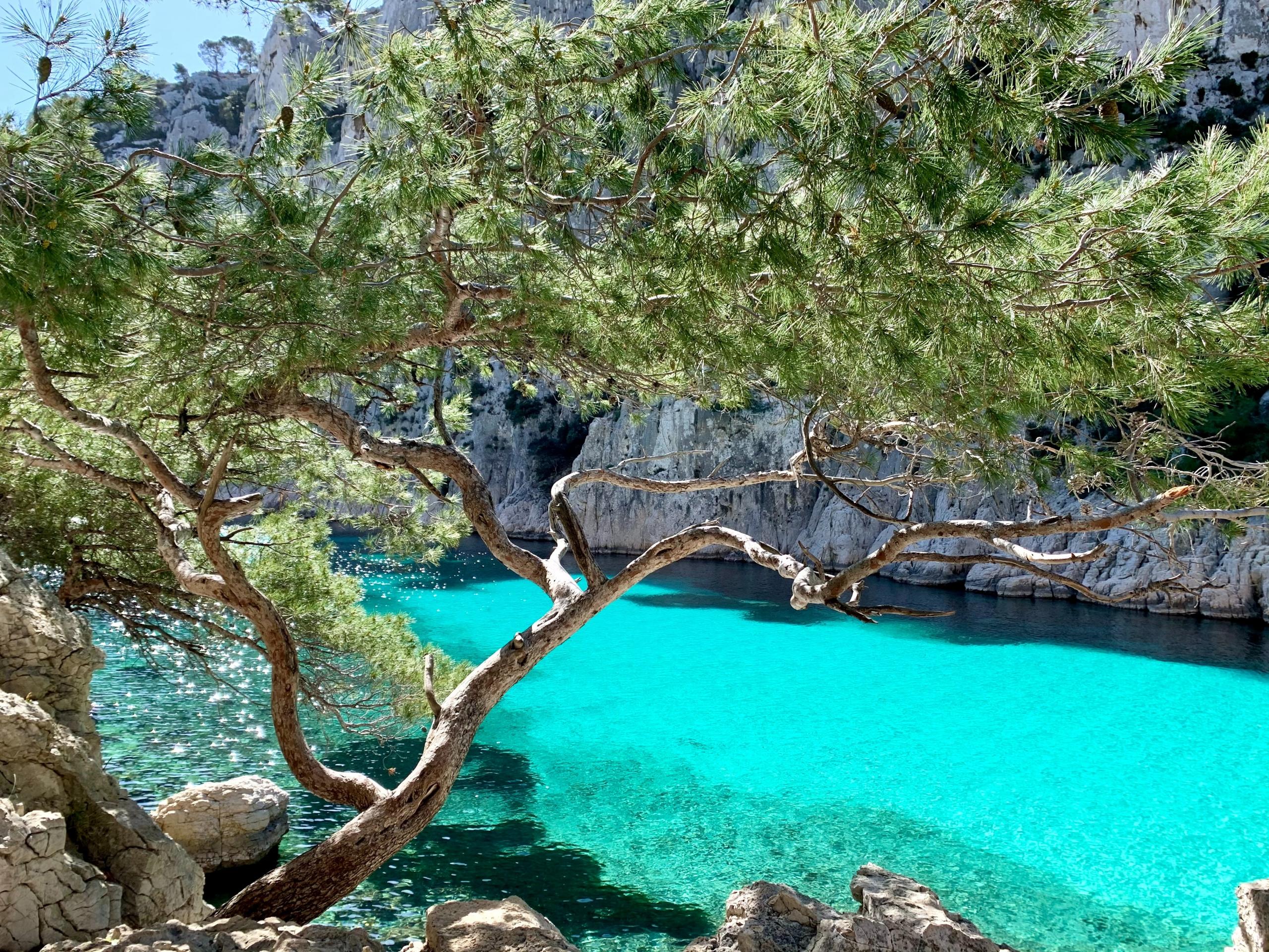Les calanques du sud de la France