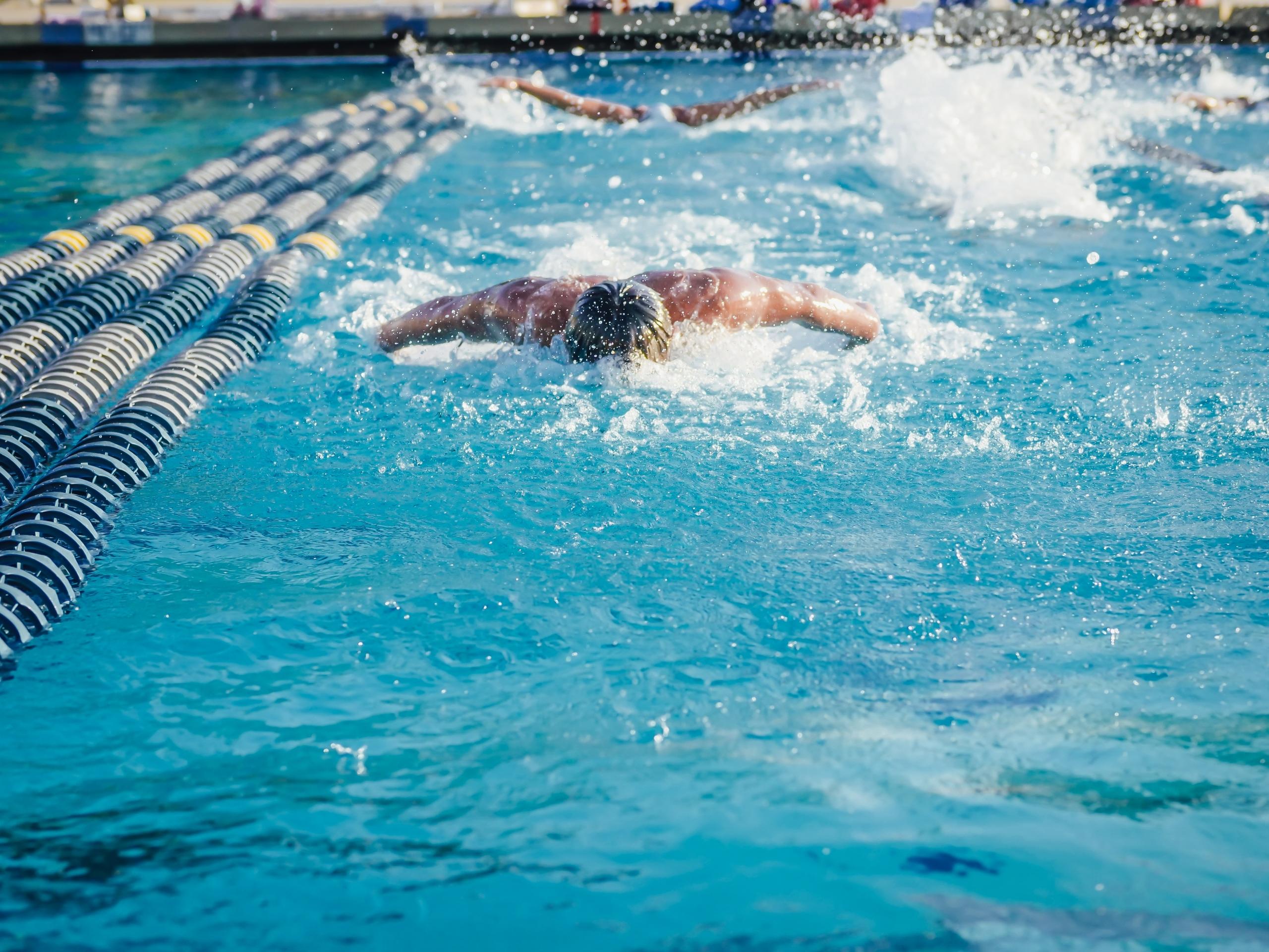 nageur pratiquant le papillon dans la piscine