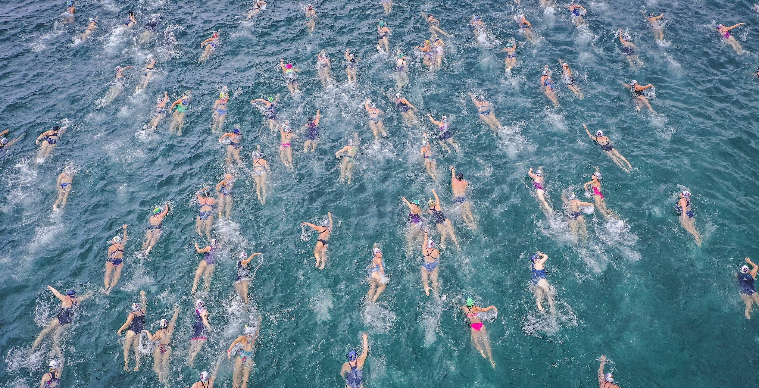 Des nombreuses personnes nagent dans une piscine.