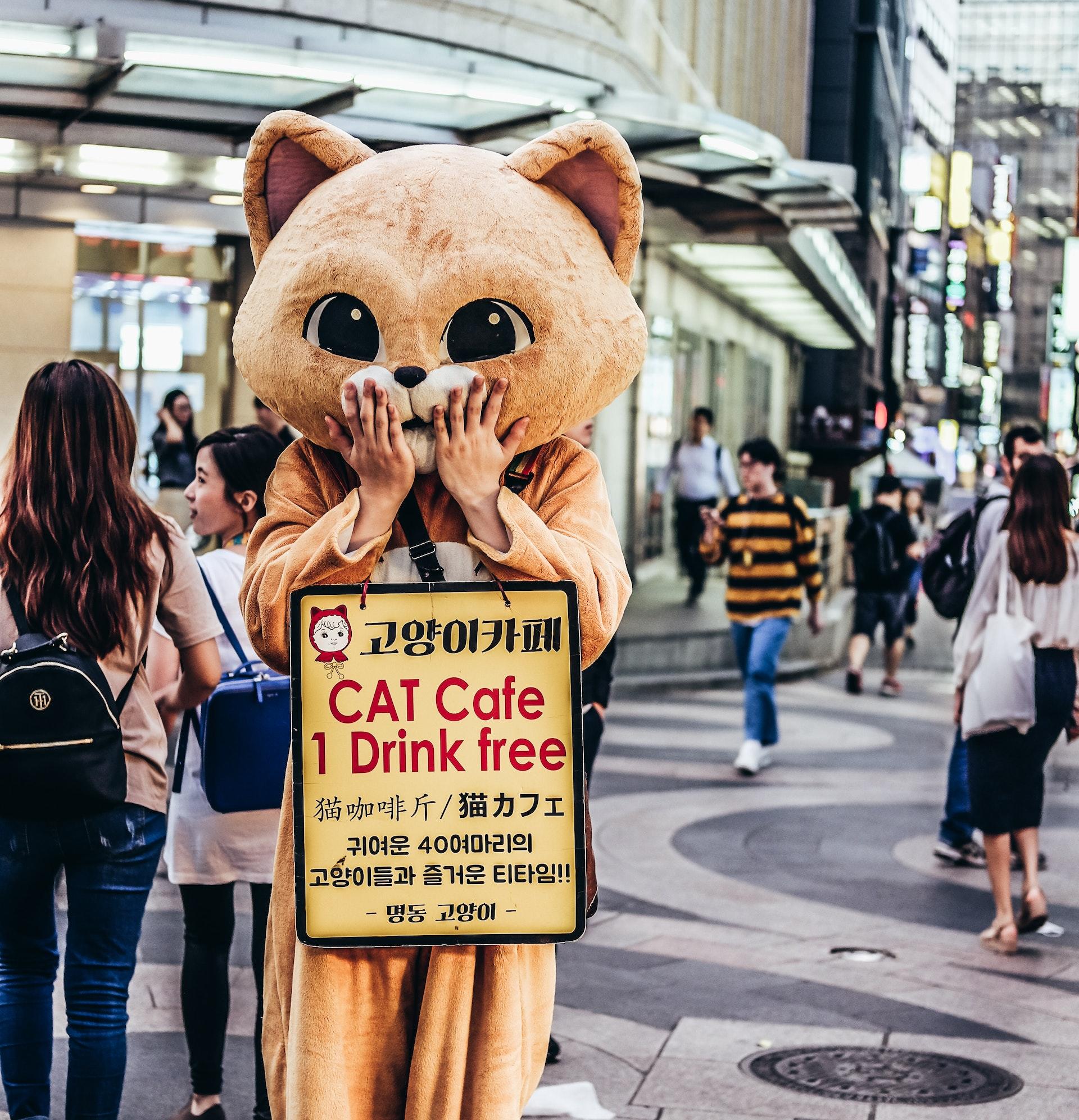 mascotte en forme de chat beige dans les rues de Séoul avec une pancarte en langue coréenne