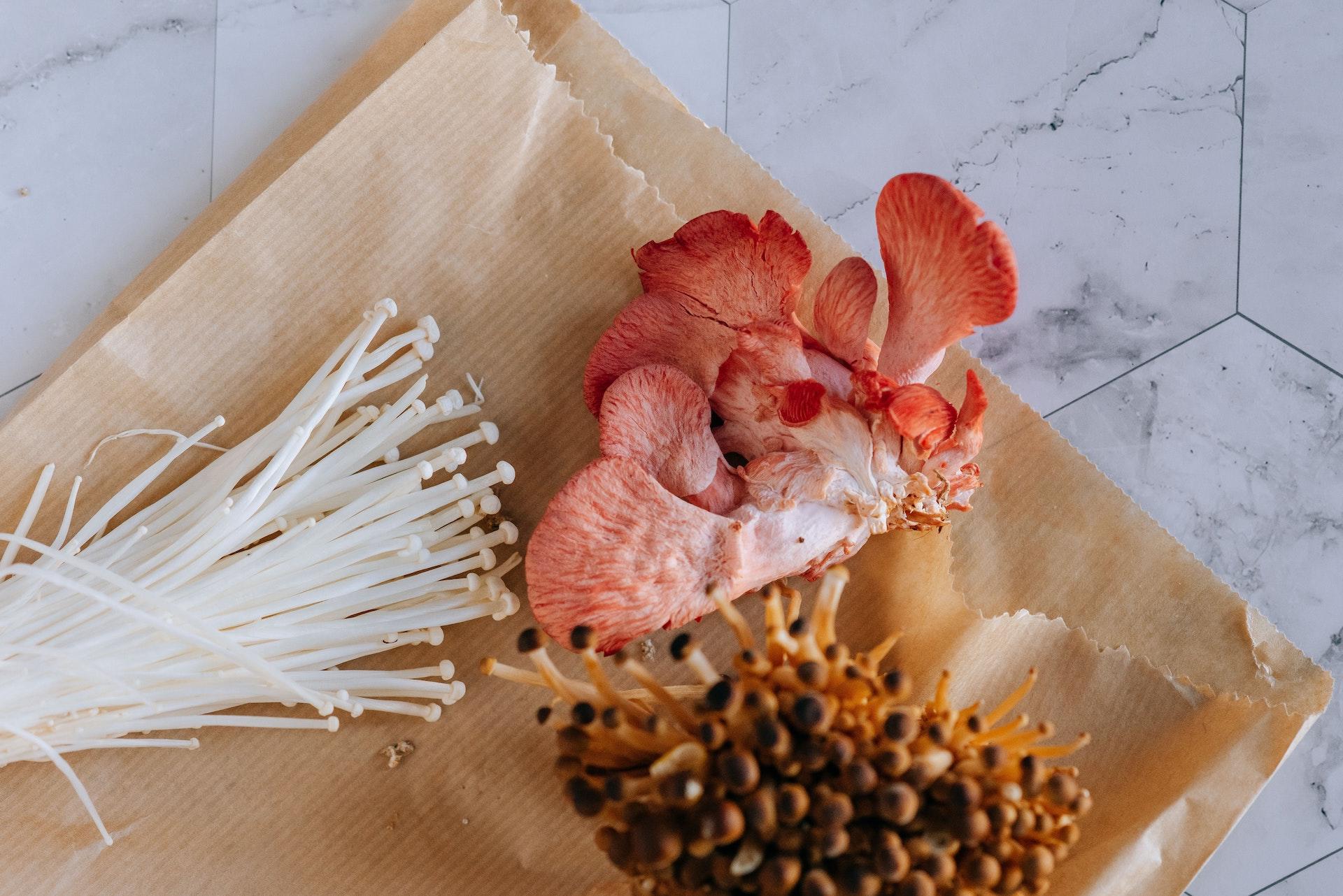 champignons asiatiques