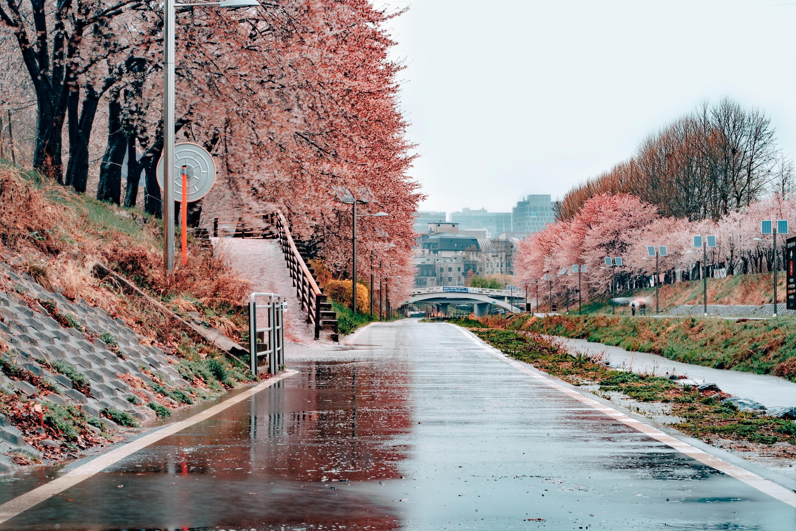 Un quartier cher de Séoul pour voyager.