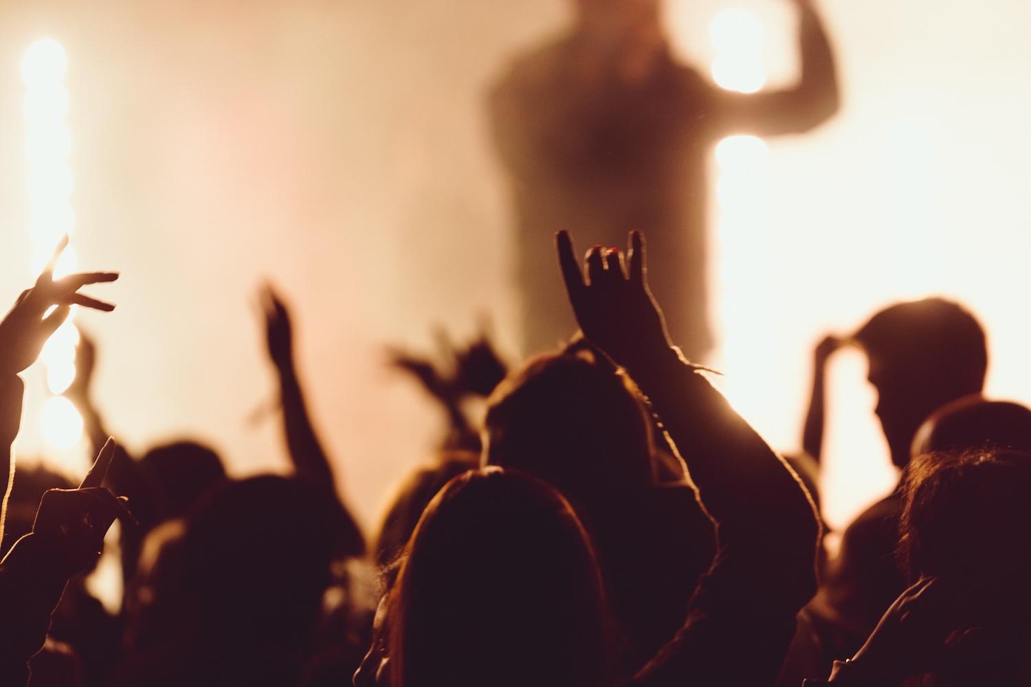 Des personnes à un concert sont dans la foule les mains levées.