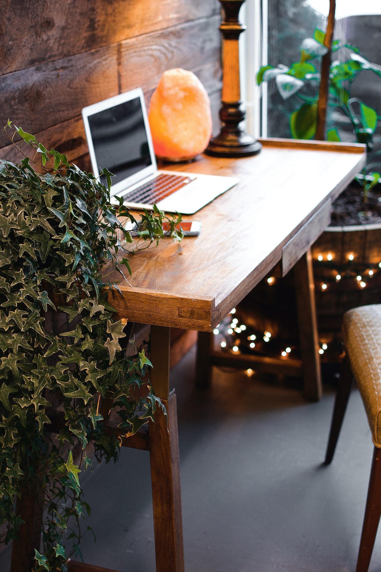 Ordinateur portable ouvert sur un bureau marron. Un smartphone est aussi posé sur le bureau avec une plante de type lierre à gauche de l'ordinateur et une lampe de sel à droite. 