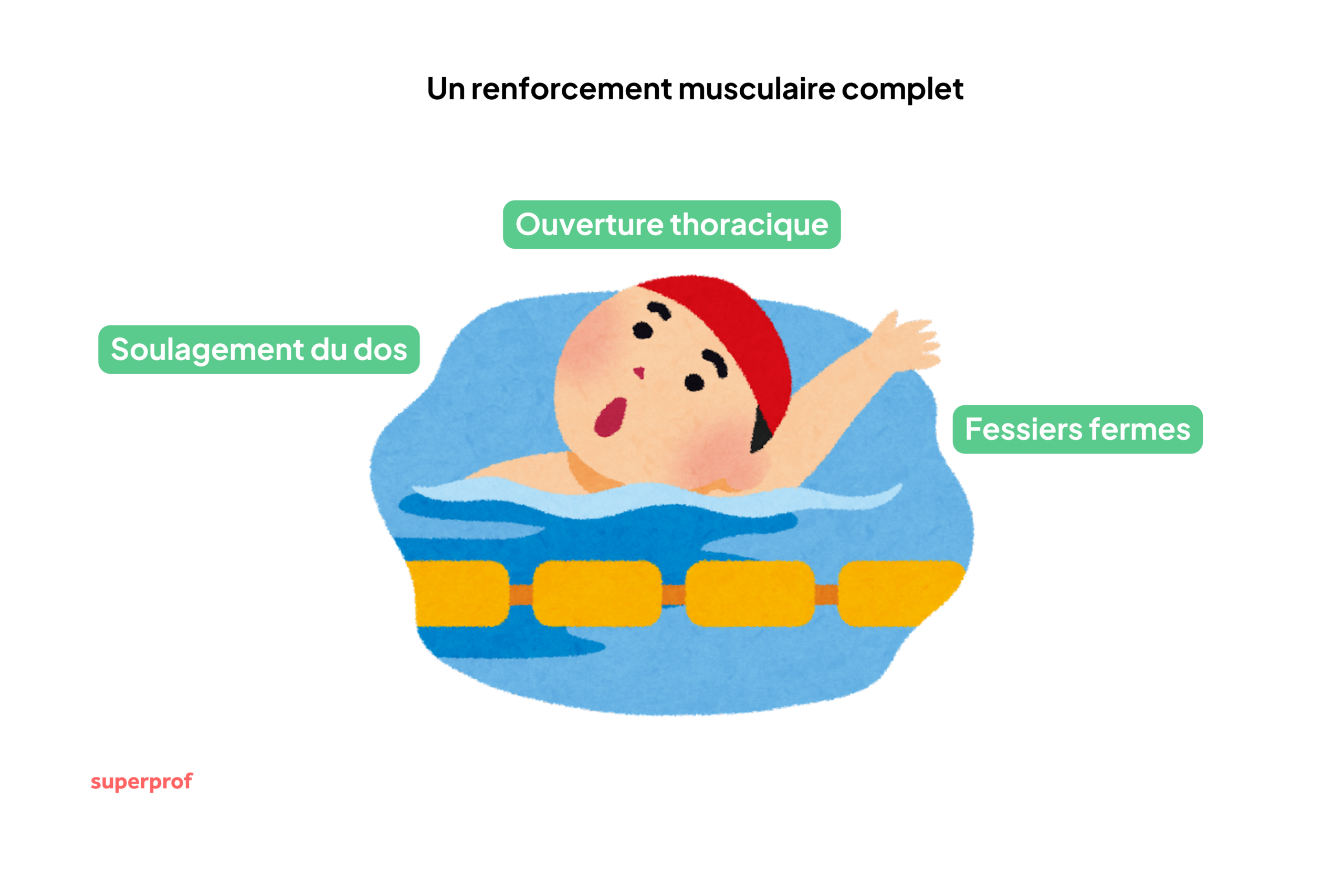 Schéma montrant les avantages du dos crawlé
