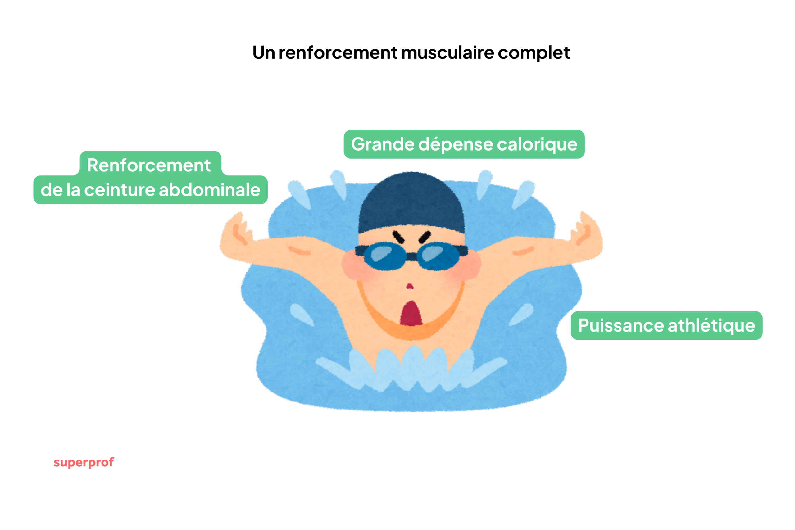 Schéma des bénéfices de la nage papillon