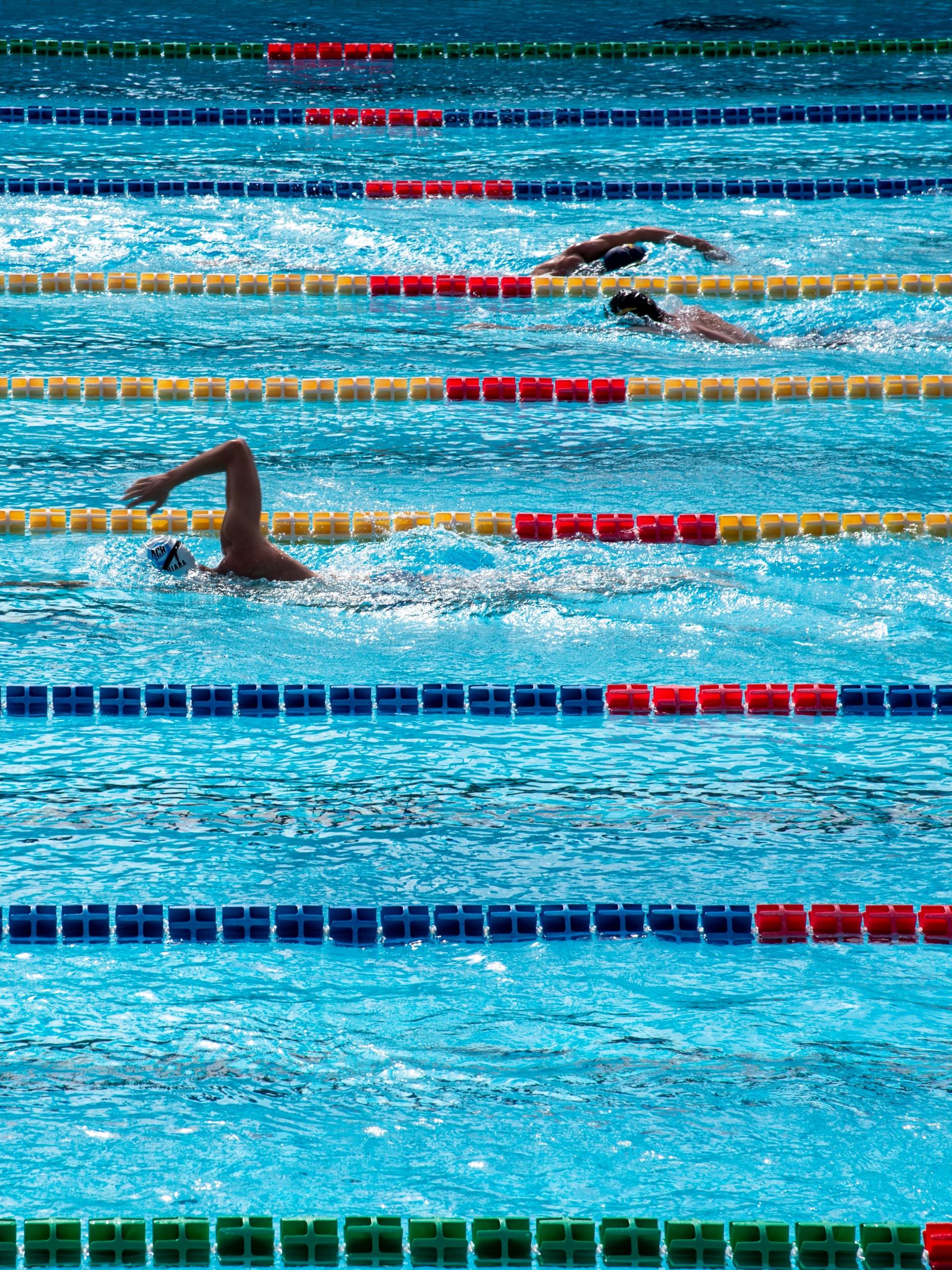 Des lignes de nage pour se muscler à la piscine