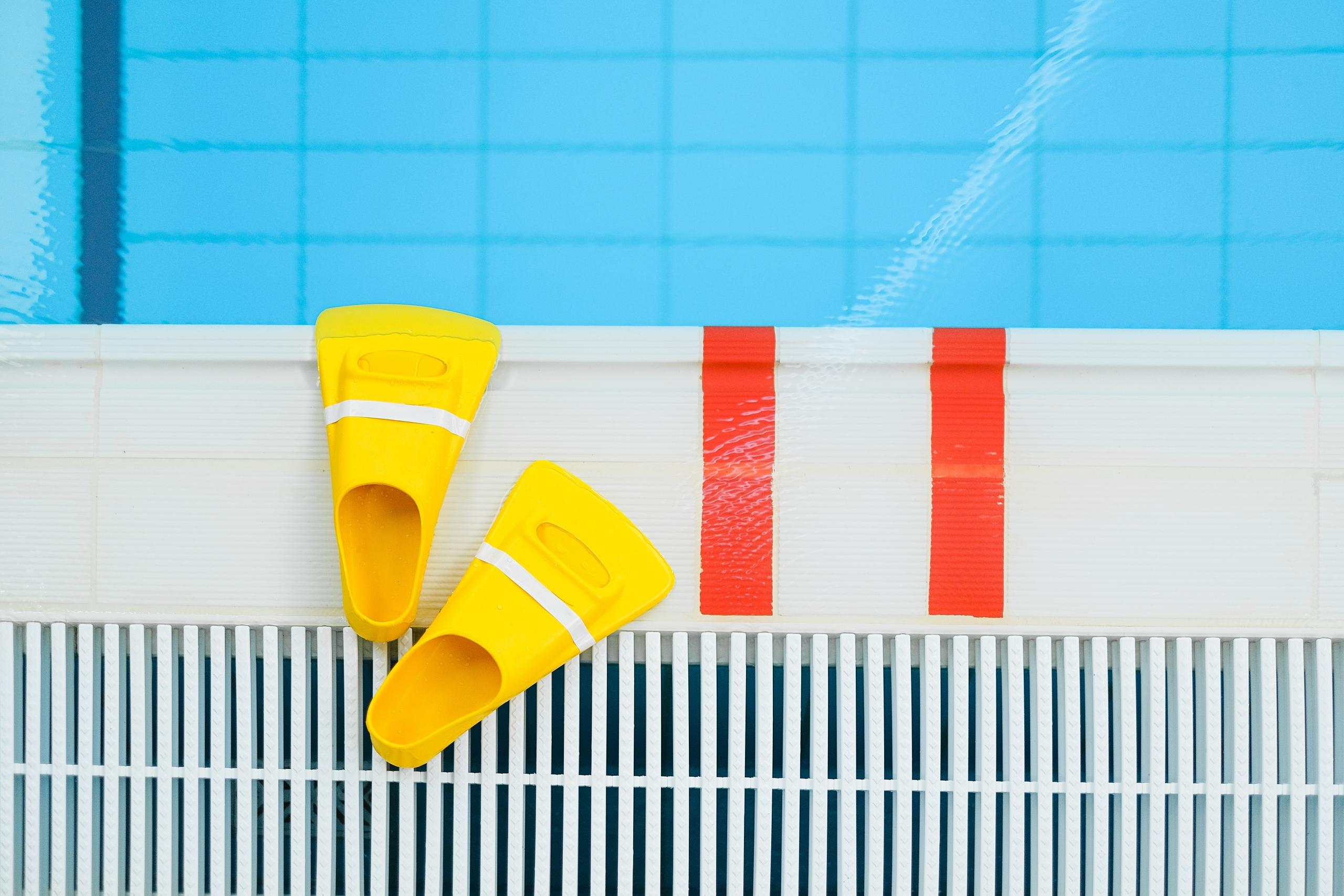 des palmes au bord d'une piscine