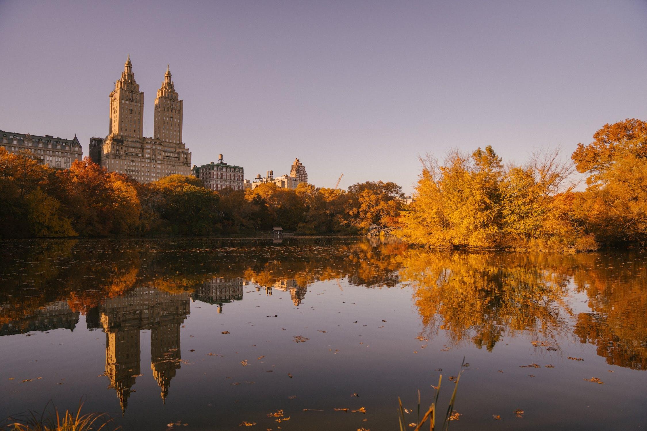 Vue sur Central Park de New-York.