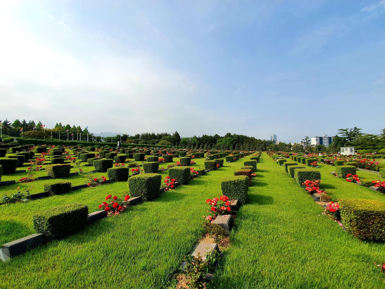 Vue sur le cimetière de Busan.