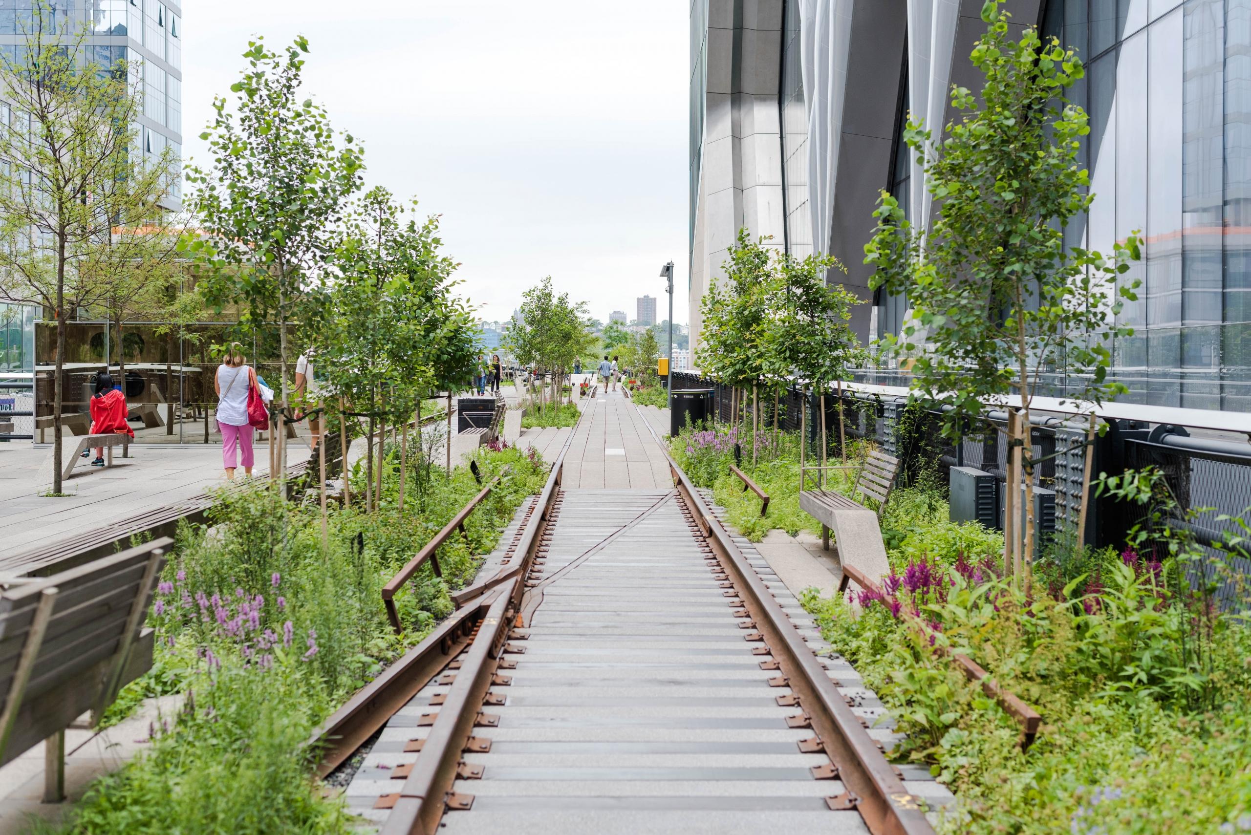 La célèbre promenade new yorkaise : la High Line.
