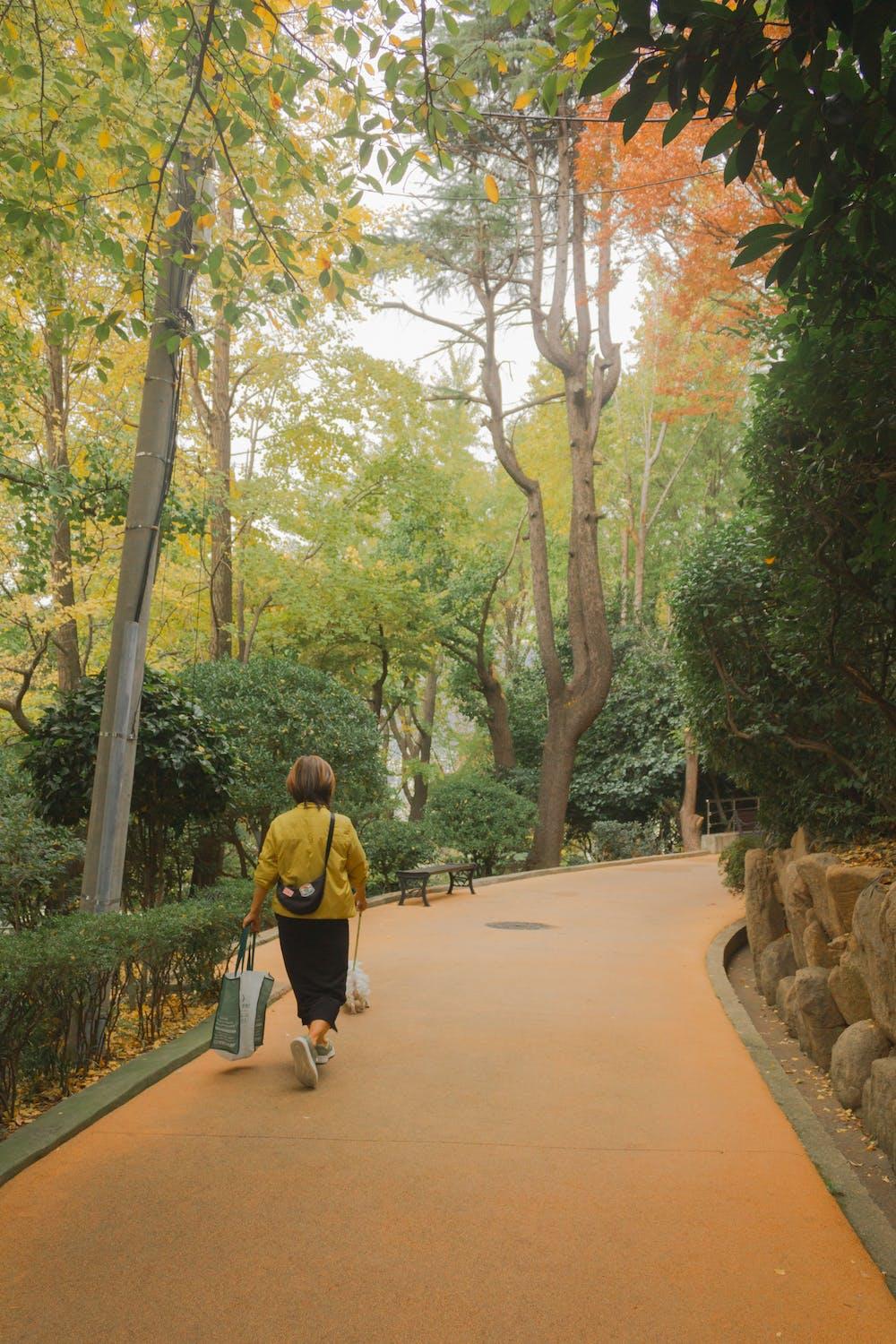 Le parc de Busan permet de gagner un peu de tranquilité.