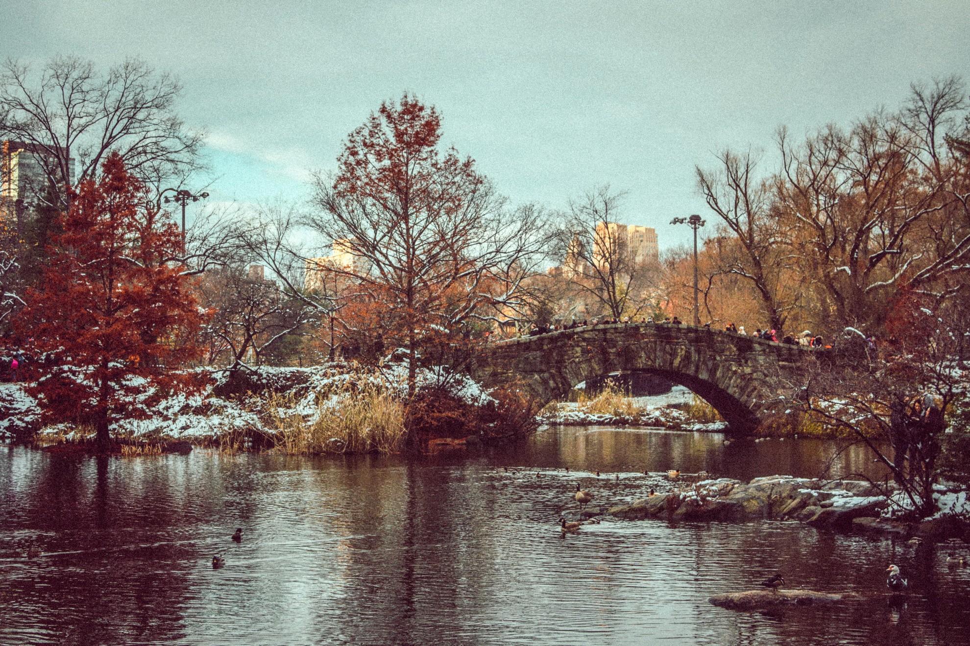 Une vue du parc de New York en hiver.