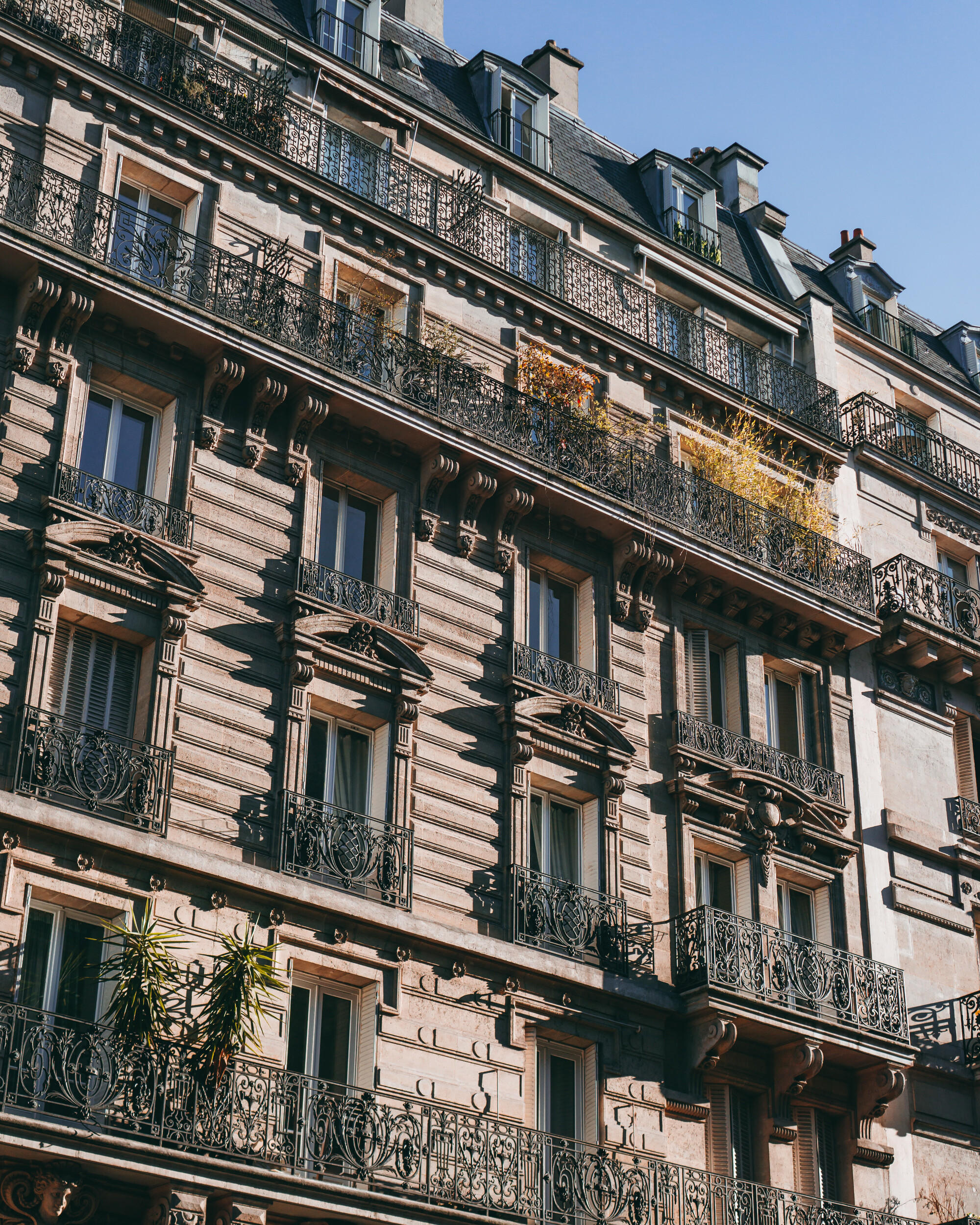 Un immeuble typique parisien.