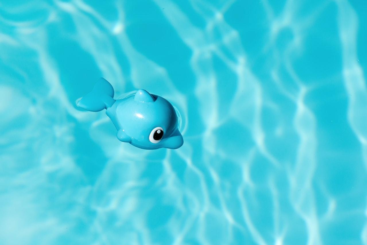 Un dauphin en plastique dans l'eau d'une piscine.