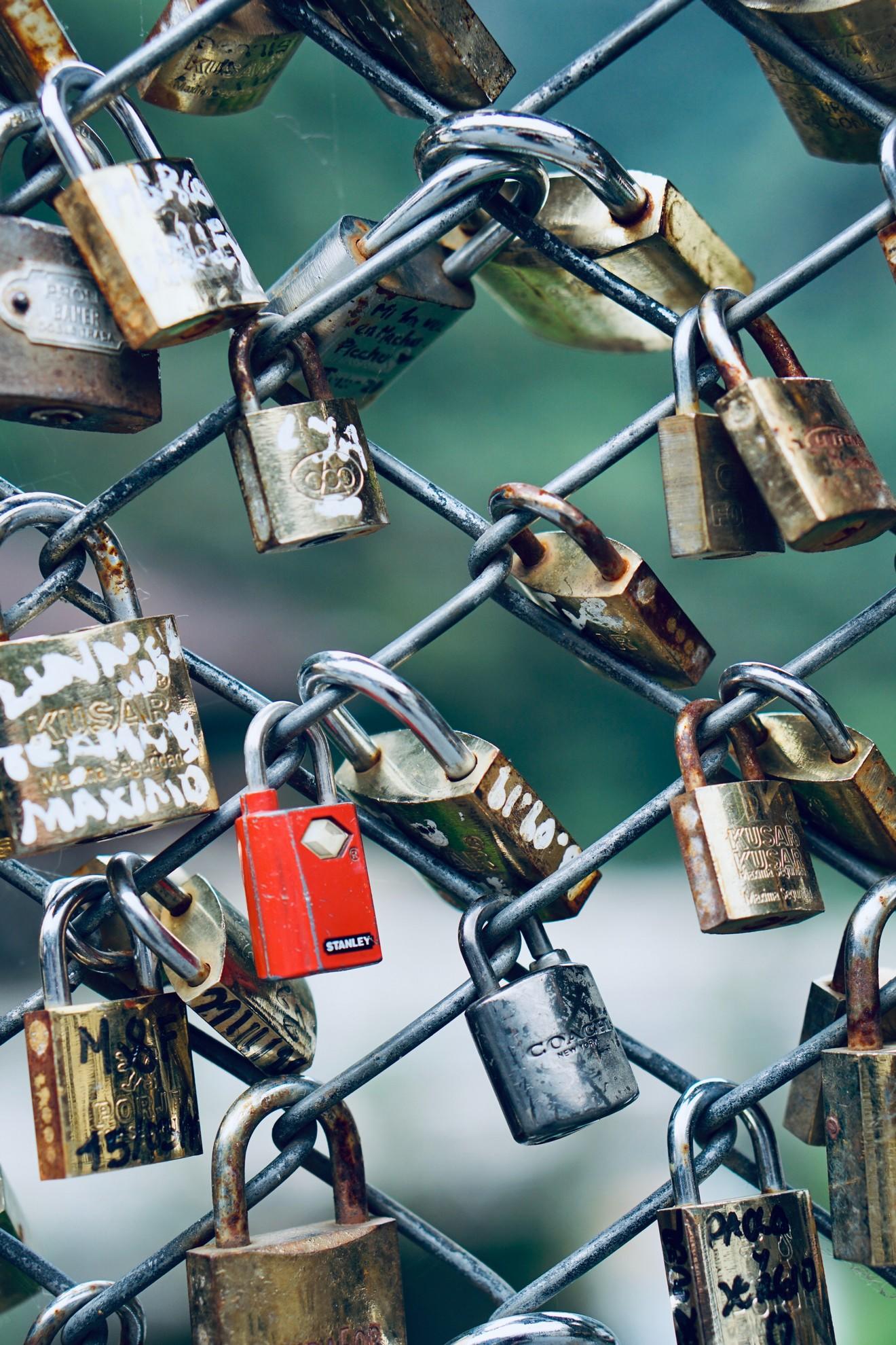 Des cadenas attachés à un grillage.