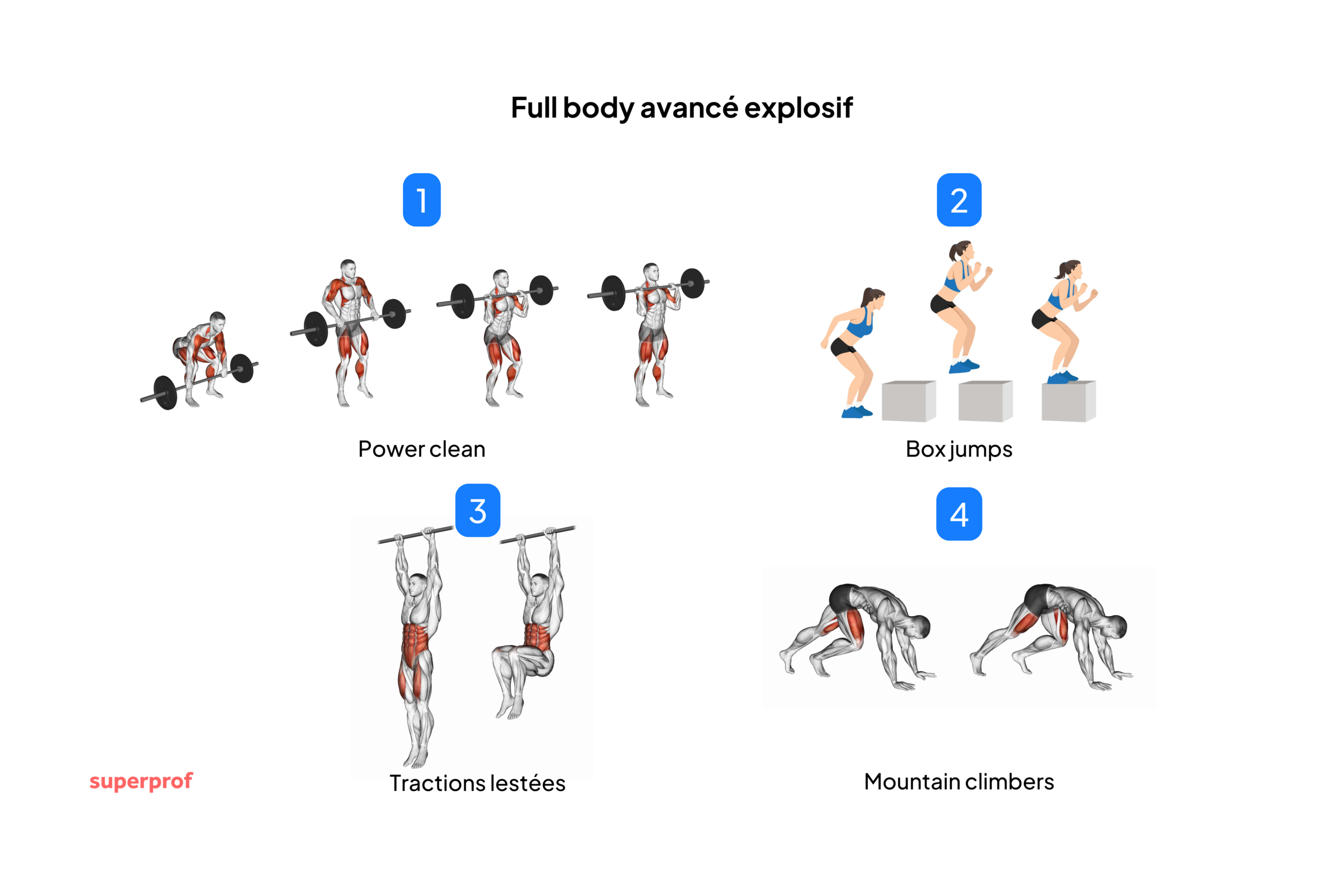 Schéma des exercices à réaliser pour le full body avancé