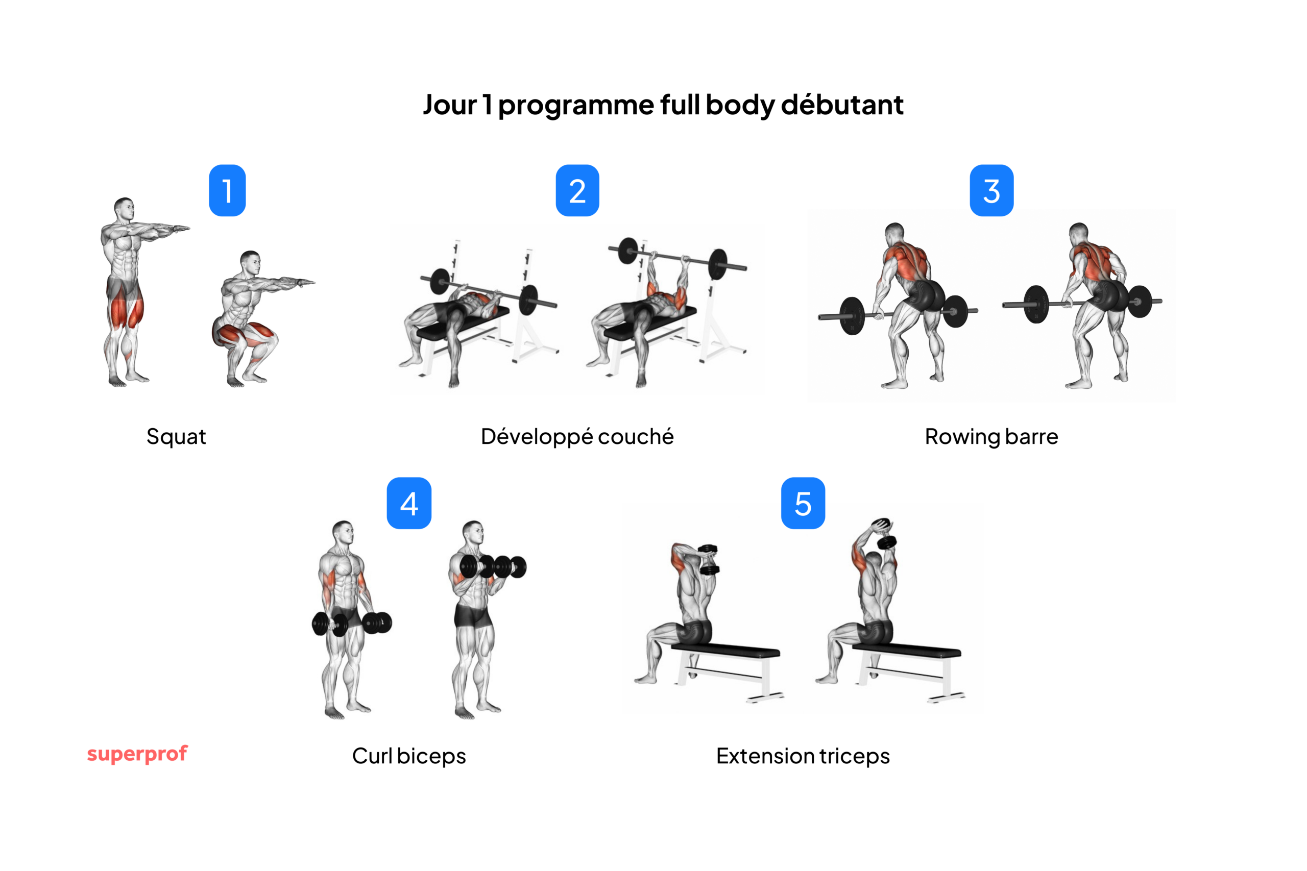 Schéma des exercices du premier jour du programme full body débutant.