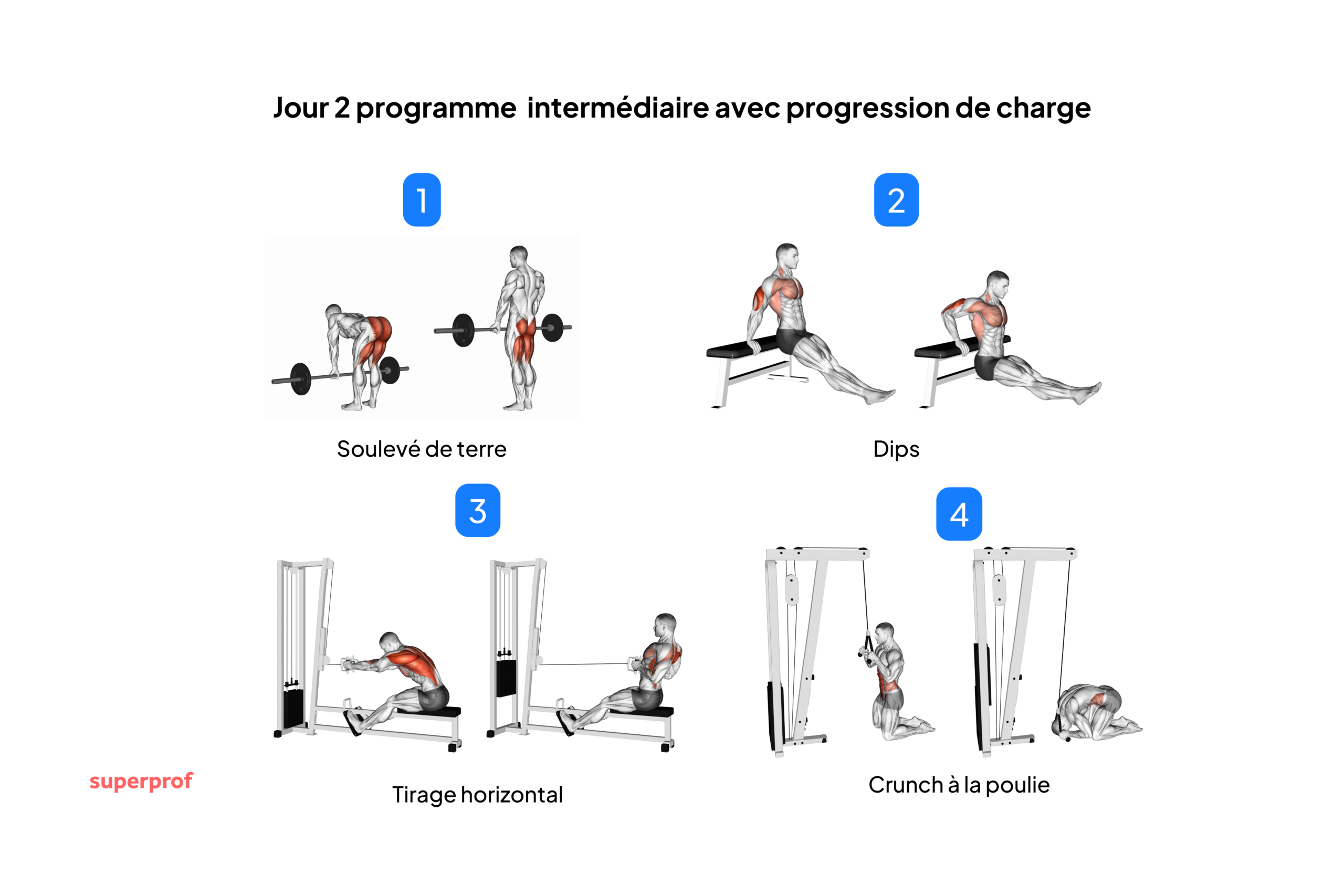 Schéma d'exercices du deuxième jour pour le programme intermédiaire avec progression de charge.