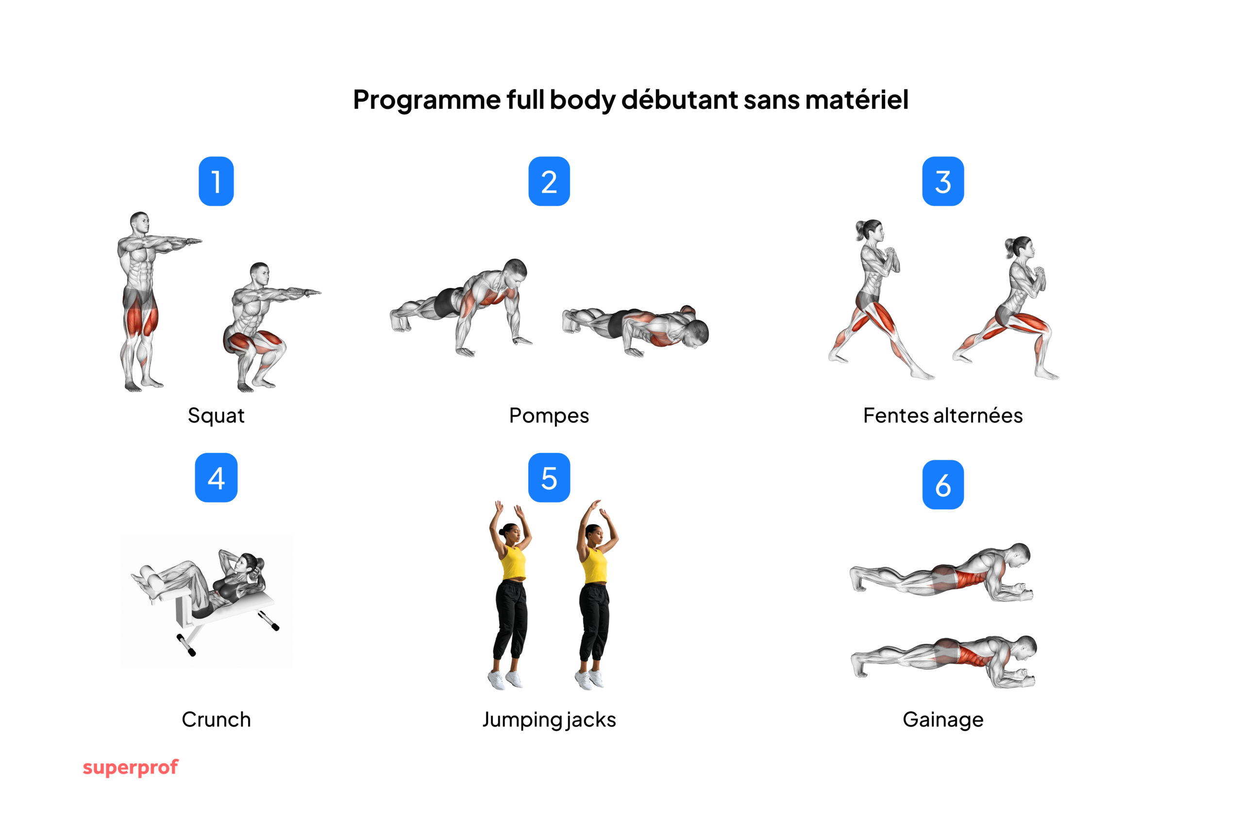 Schéma des différents exercices à reproduire pour le programme débutant full body à la maison. 
