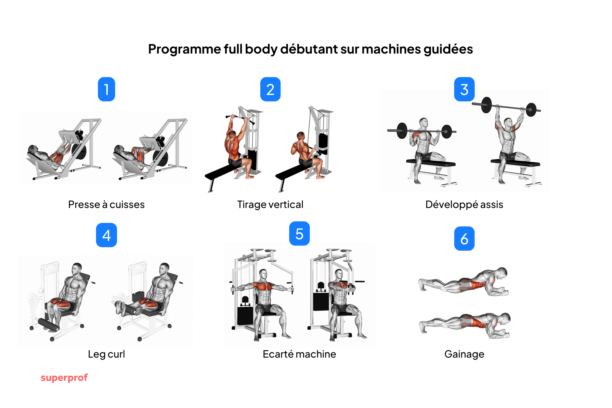 Schéma des exercices à reproduire pour le programme full body débutant sur machines