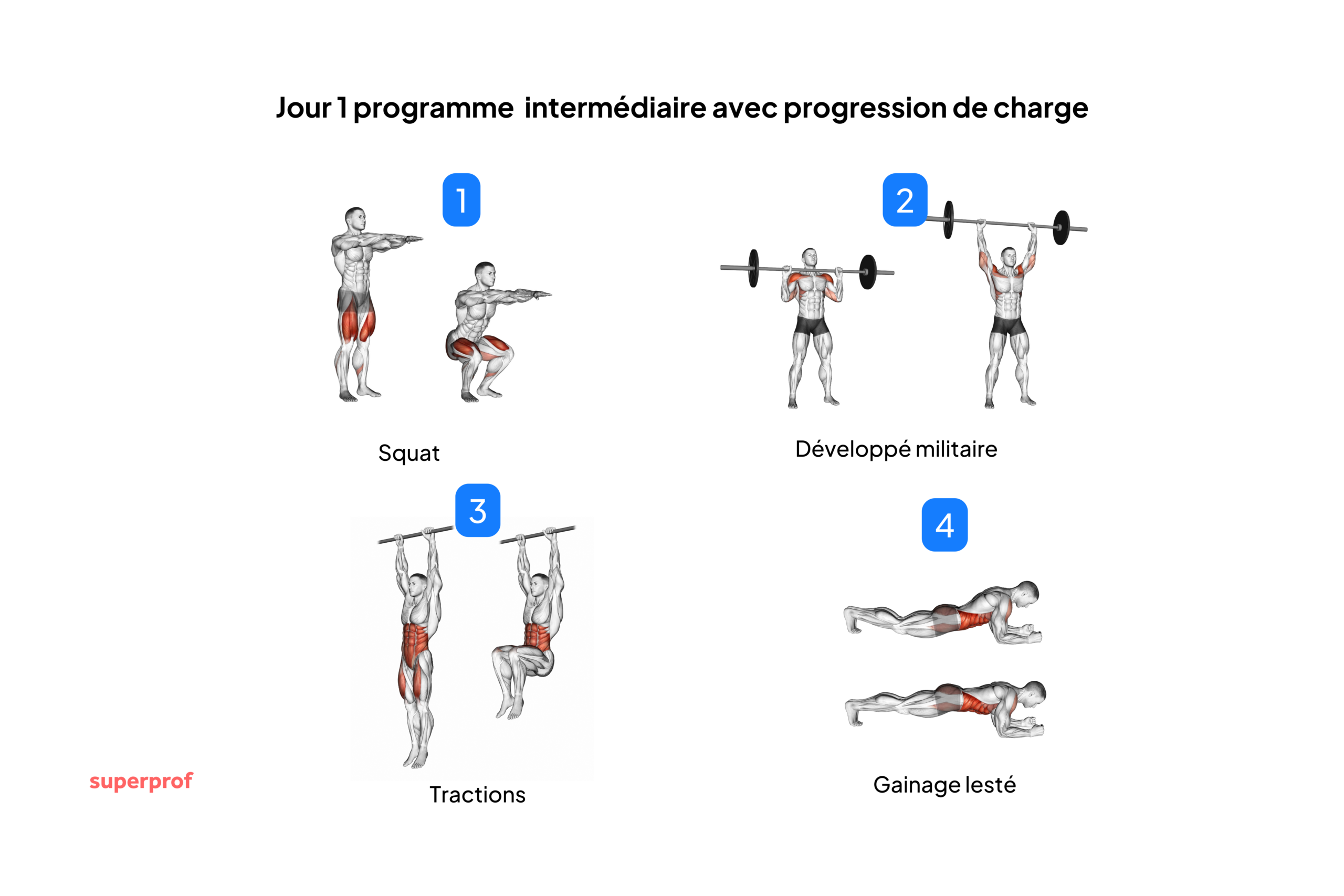 Schéma des exercices à faire le jour 1.