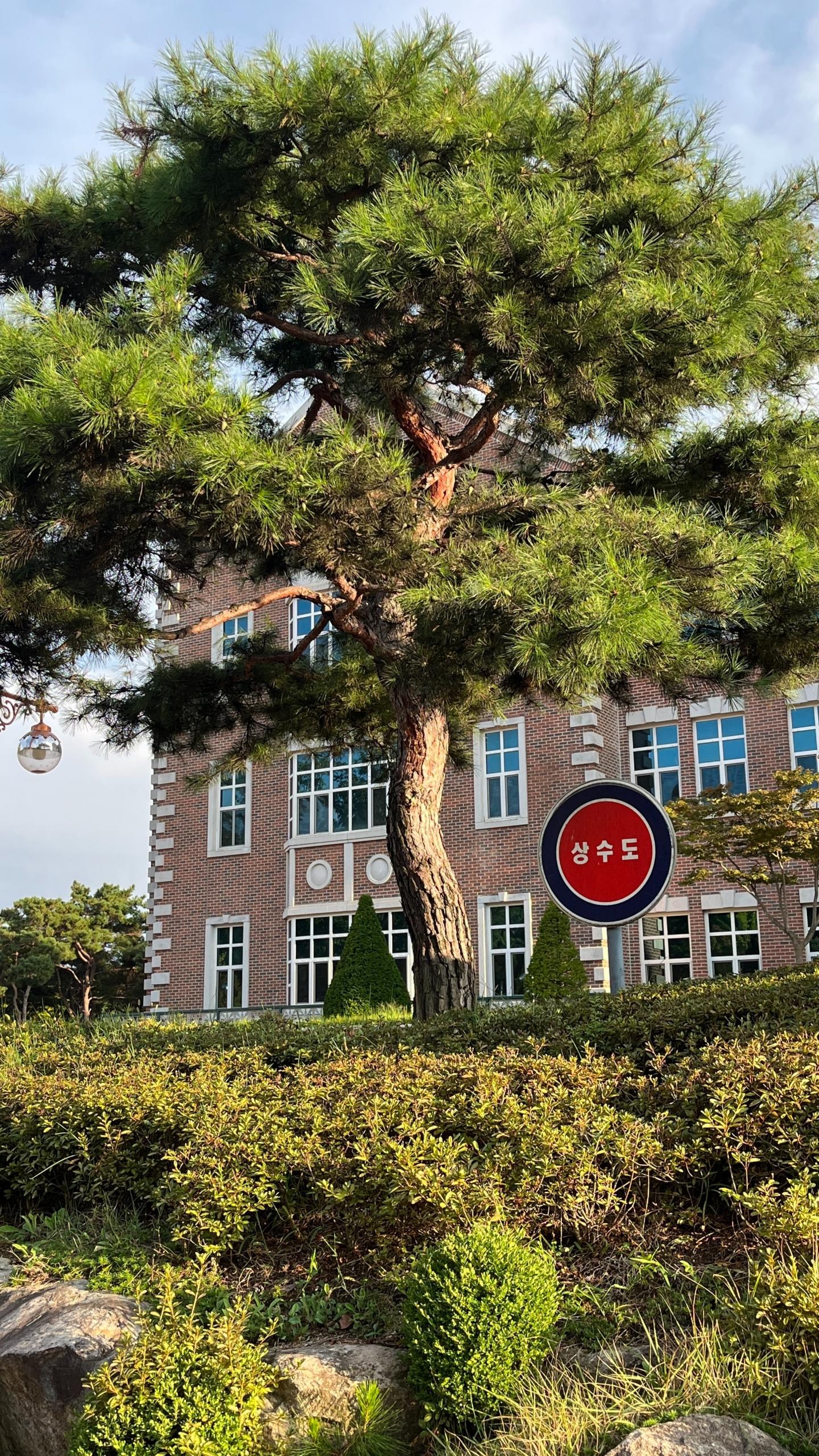Un panneau en coréen et une université coréenne