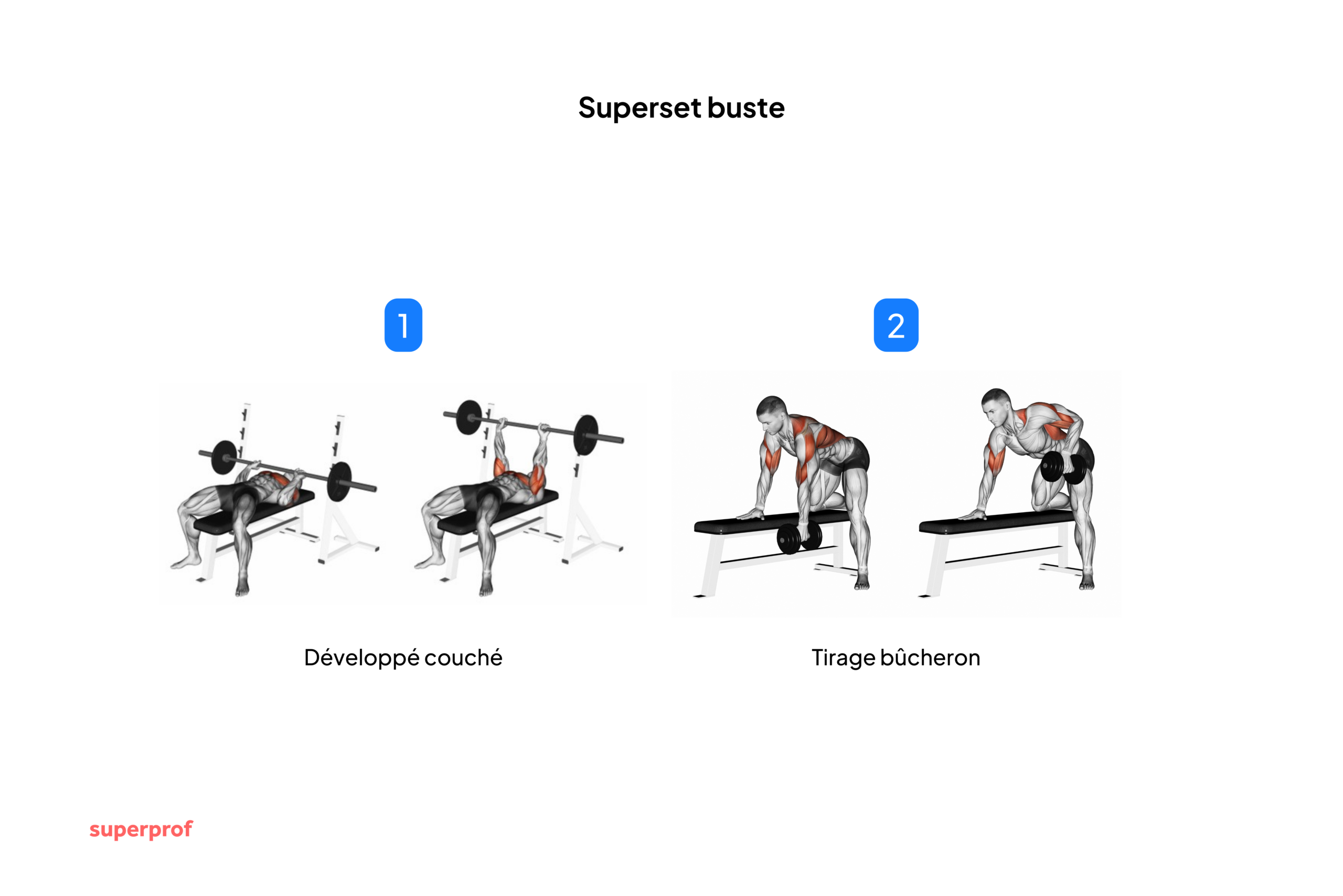 Schéma des deux exercices du superset buste.
