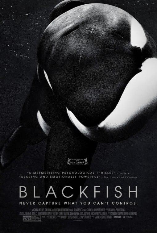 Affiche du documentaire "Blackfish"