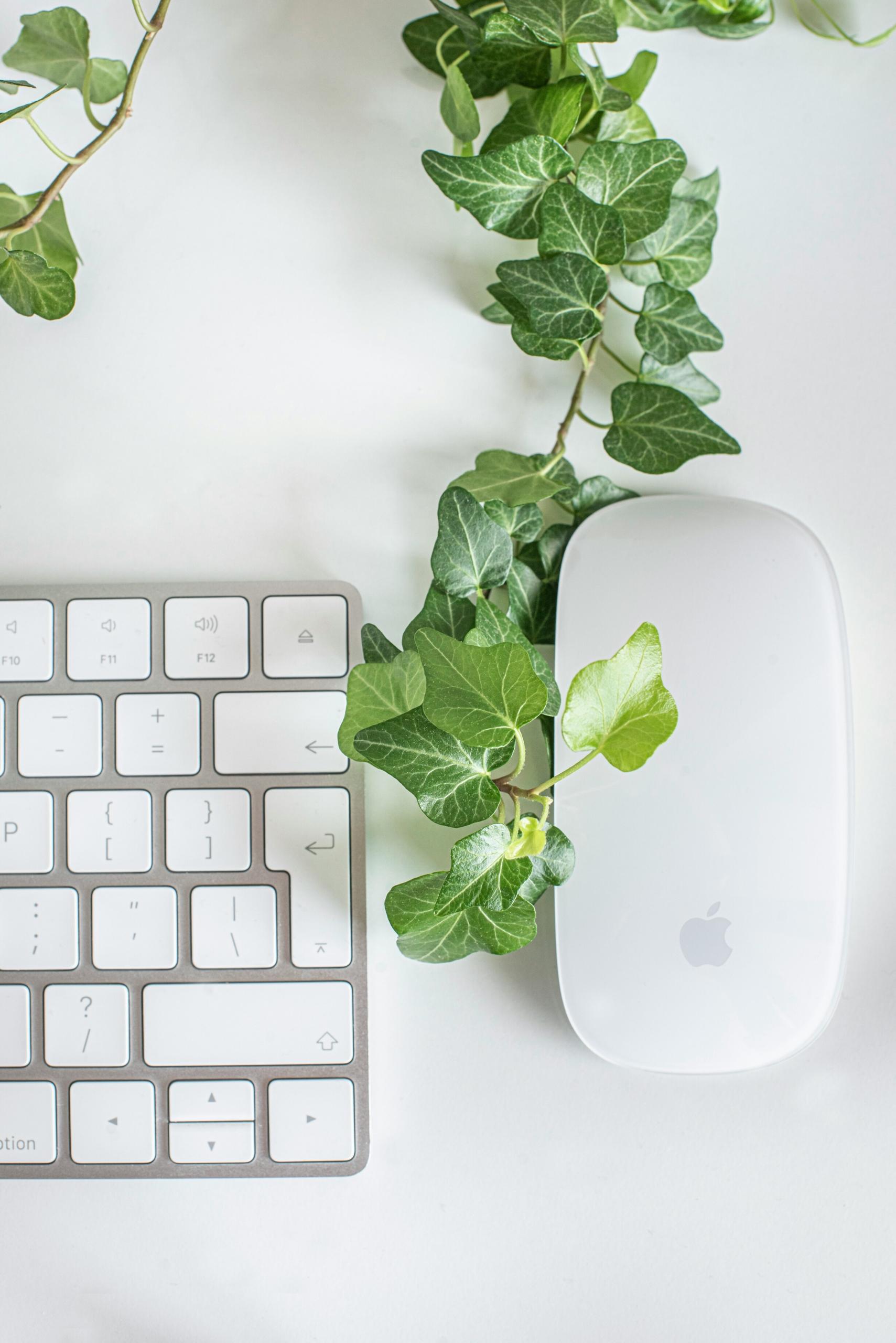 Une souris de Mac et un morceau du clavier d'ordinateur vus d'en haut.