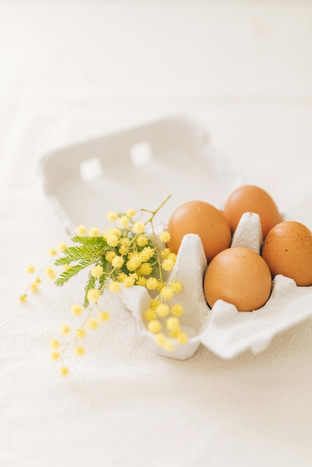 oeuf et fleurs de mimosa dans une boîte à oeufs 