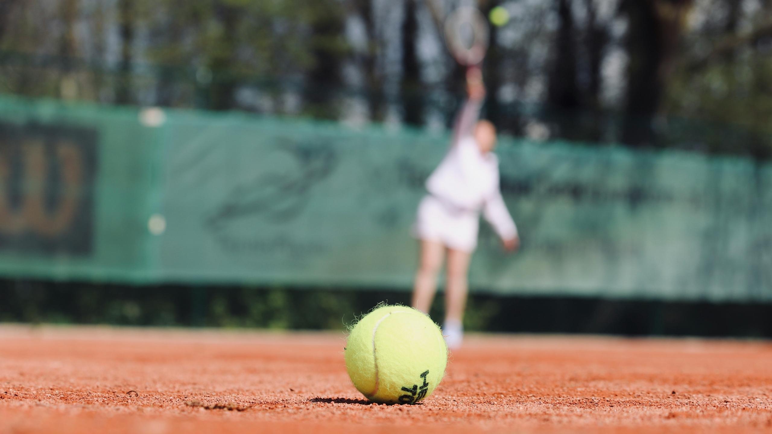 Une balle de tennis posée sur de la terre battue.