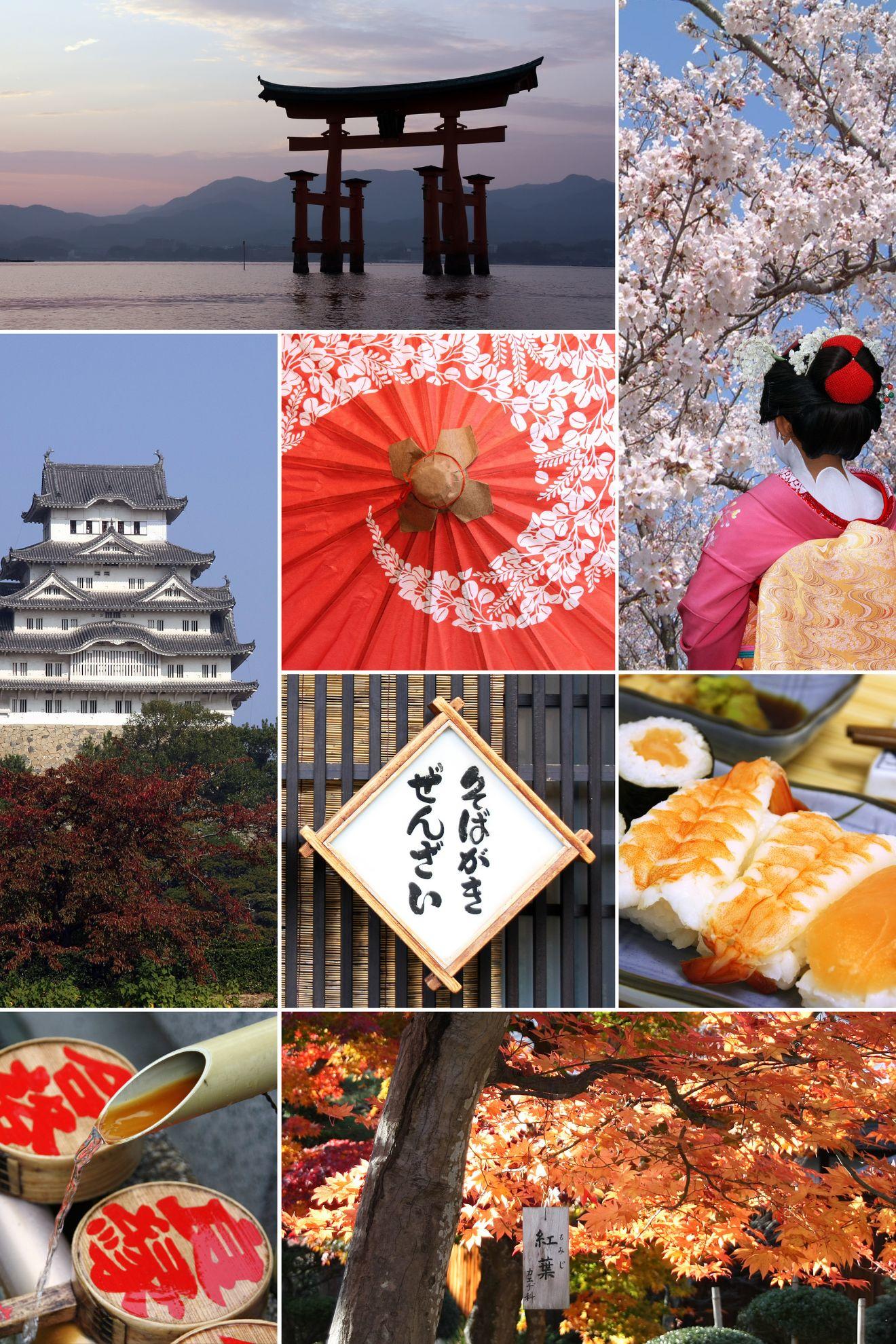 Un panorama de la richesse du patrimoine nippon.