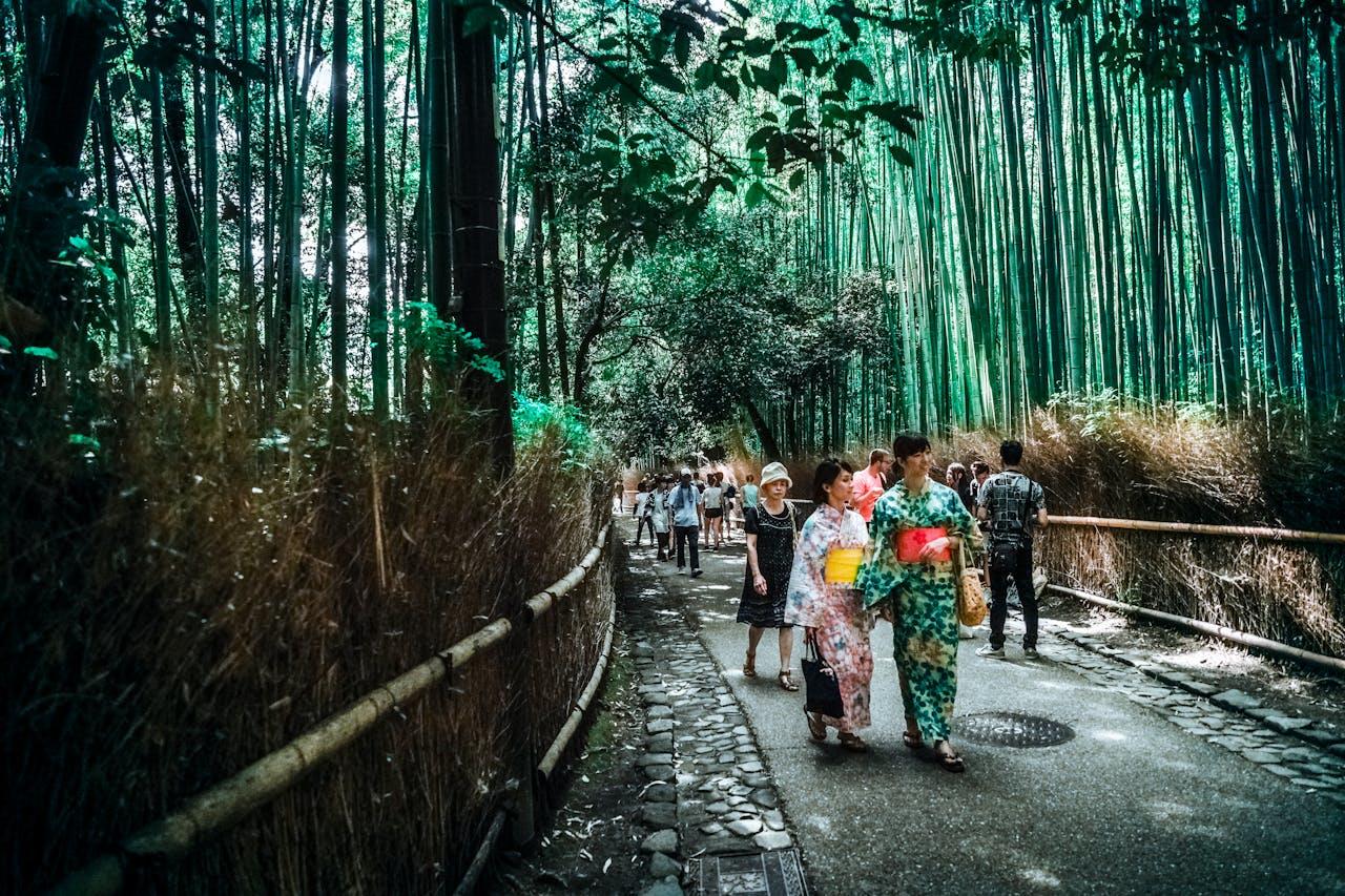 Japonaises marchant dans un parc