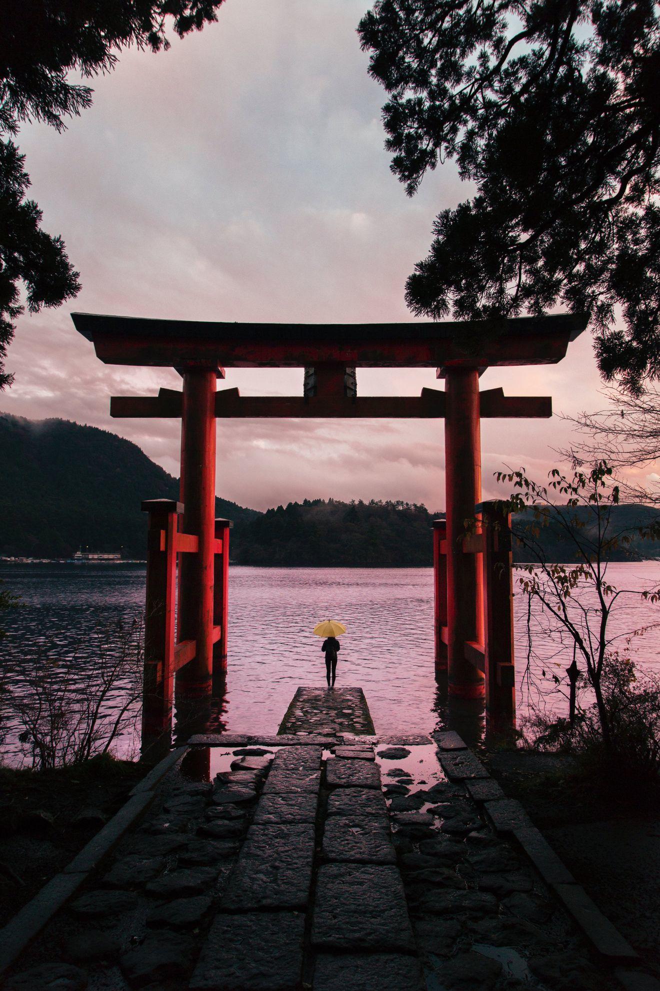 Un tori au bord du lac.
