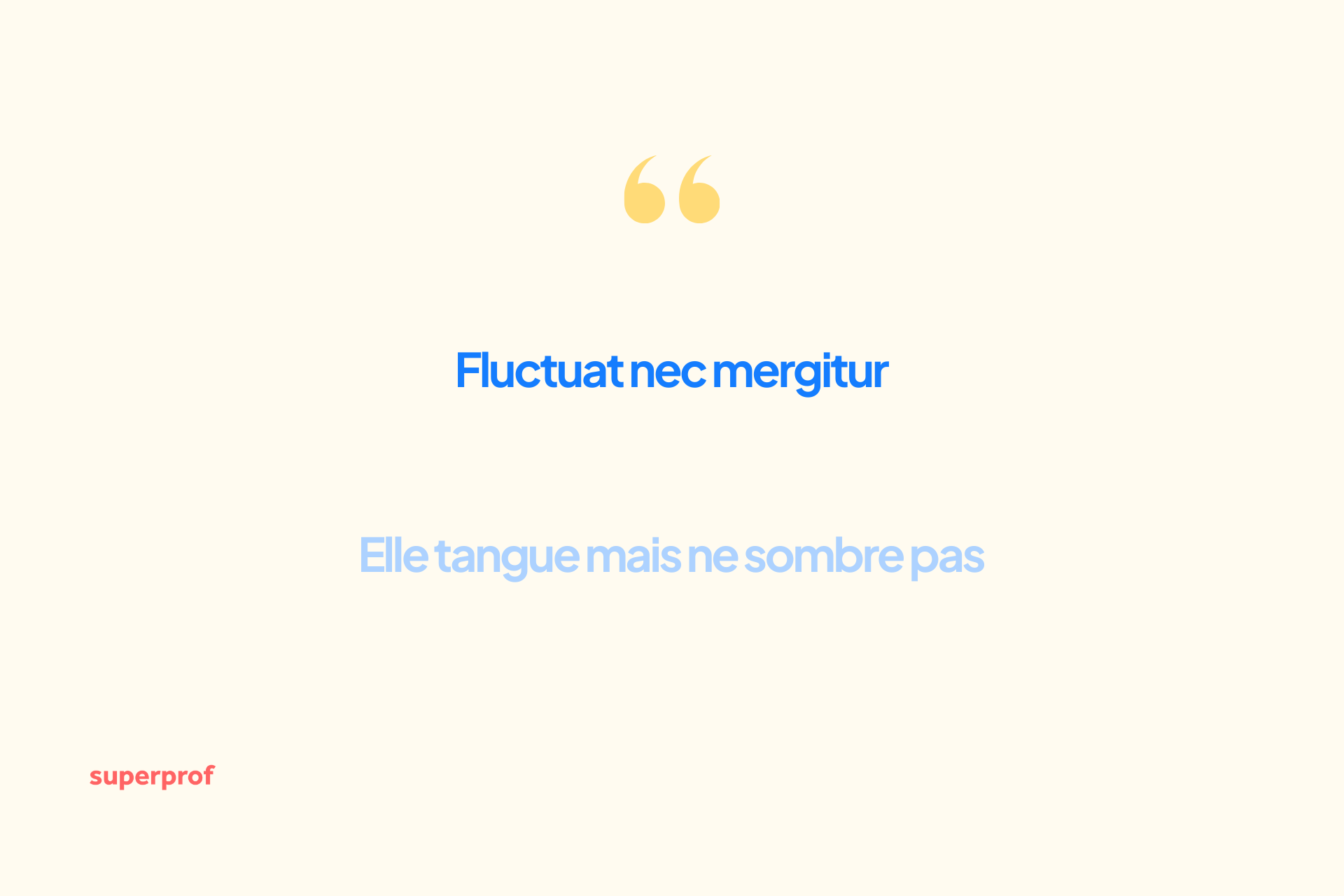 Fluctuat nec mergitur