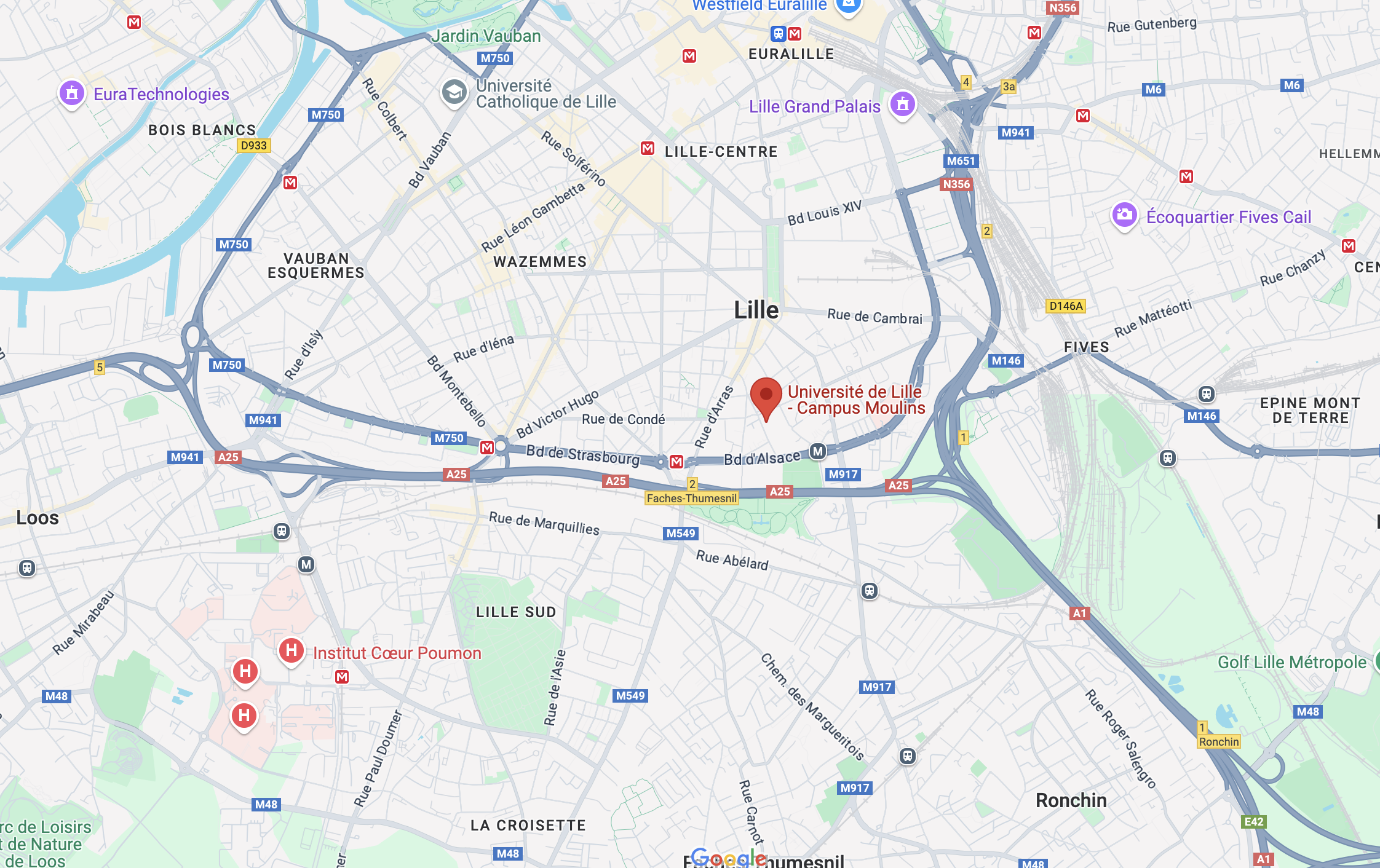 Capture d'écran Google Maps Moulins Lille