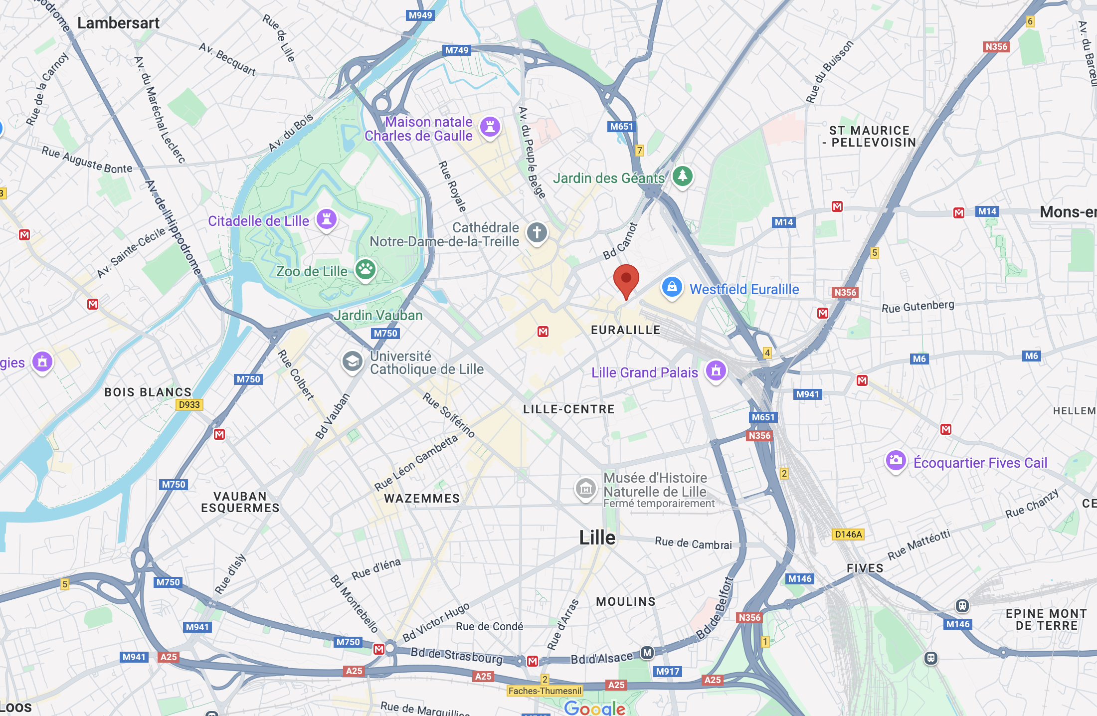 Capture d'écran Google Maps Lille