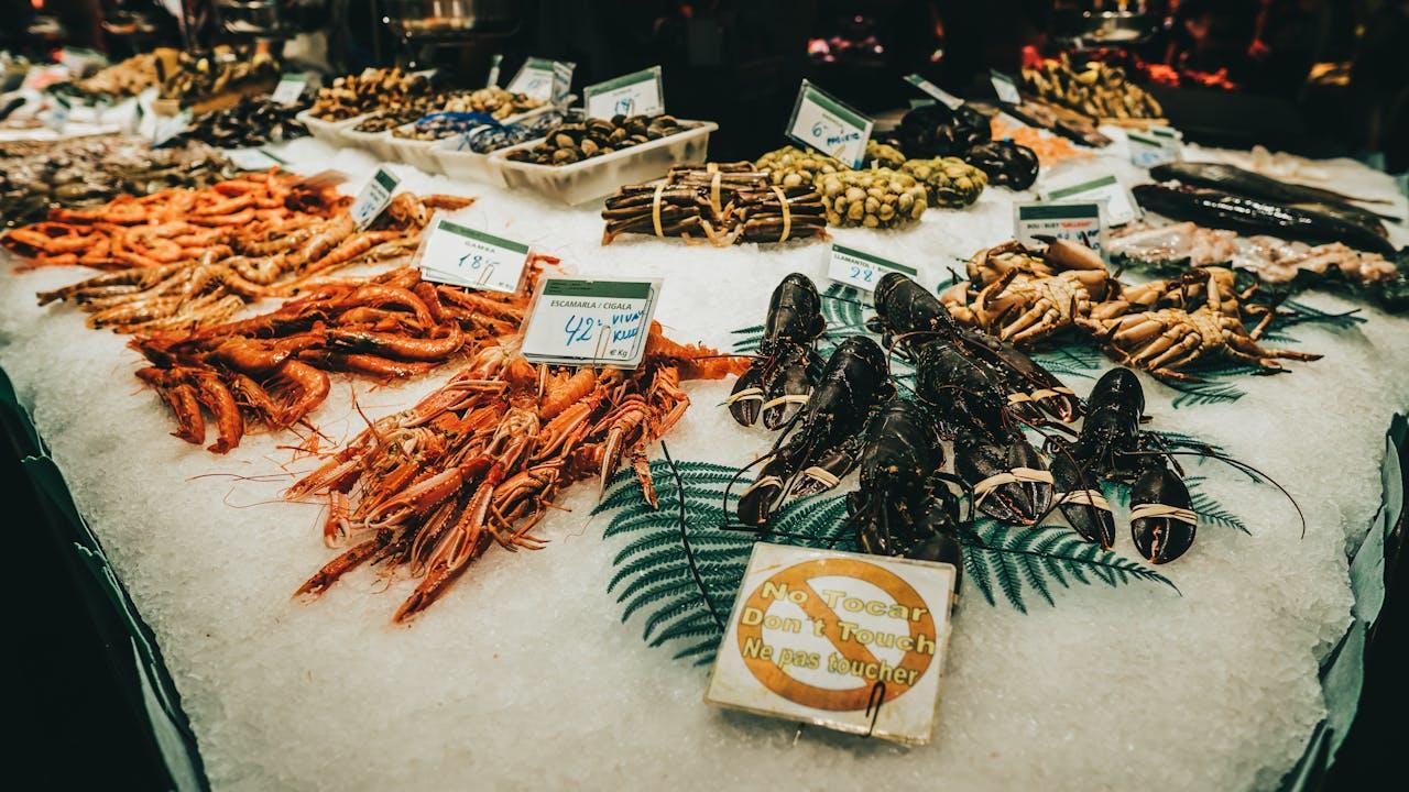 Un étal de poissons et de crustacés dans de la glace.