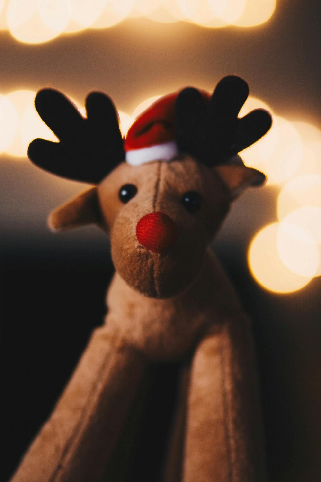 Une peluche de renne au nez rouge.